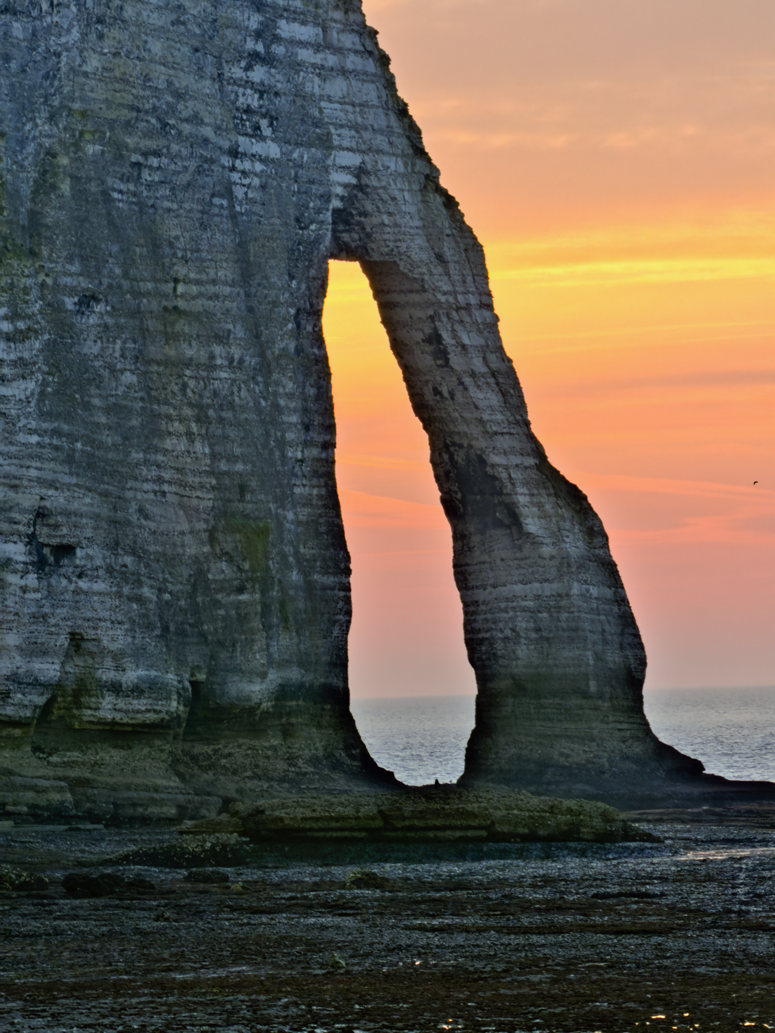 IMG_4511_Long Edge_1536x2048_U_70.png