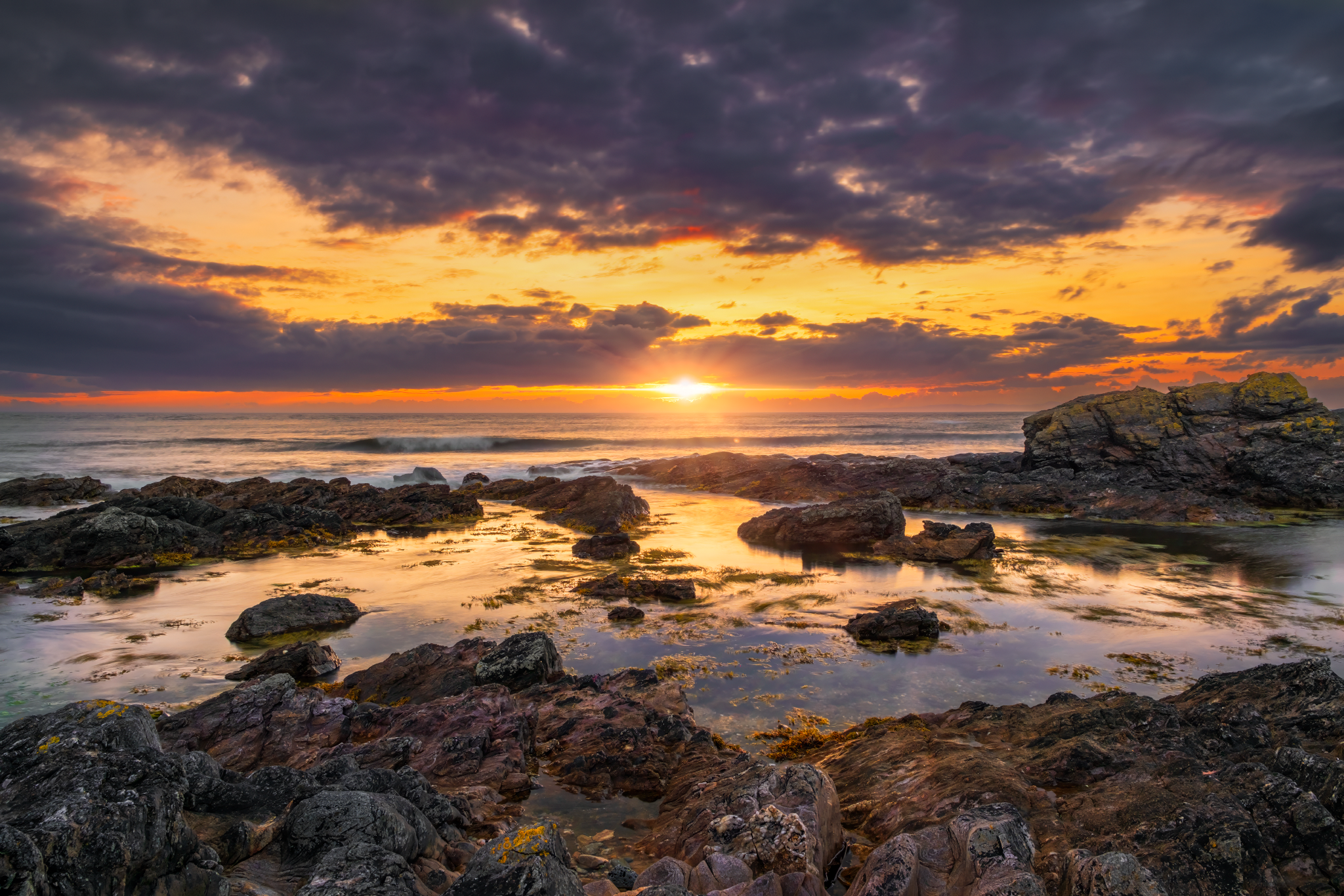 DSCF8338-Edit-Edit-Edit-2_2048x1365_U_10_Long Edge.png