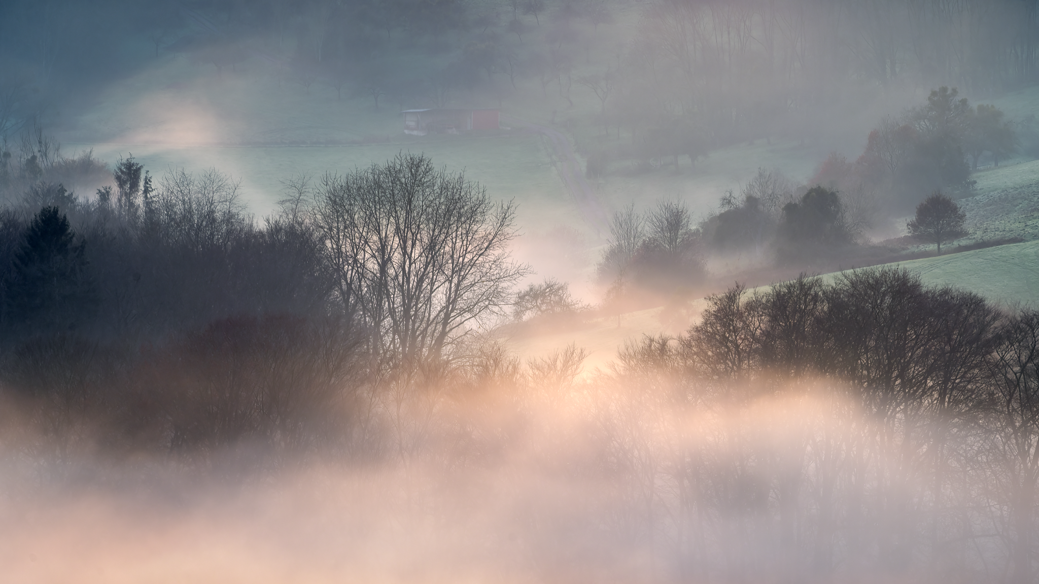 _DSC1663_DxO-Edit-Edit_2048x1152_U_70_Long Edge-2.png