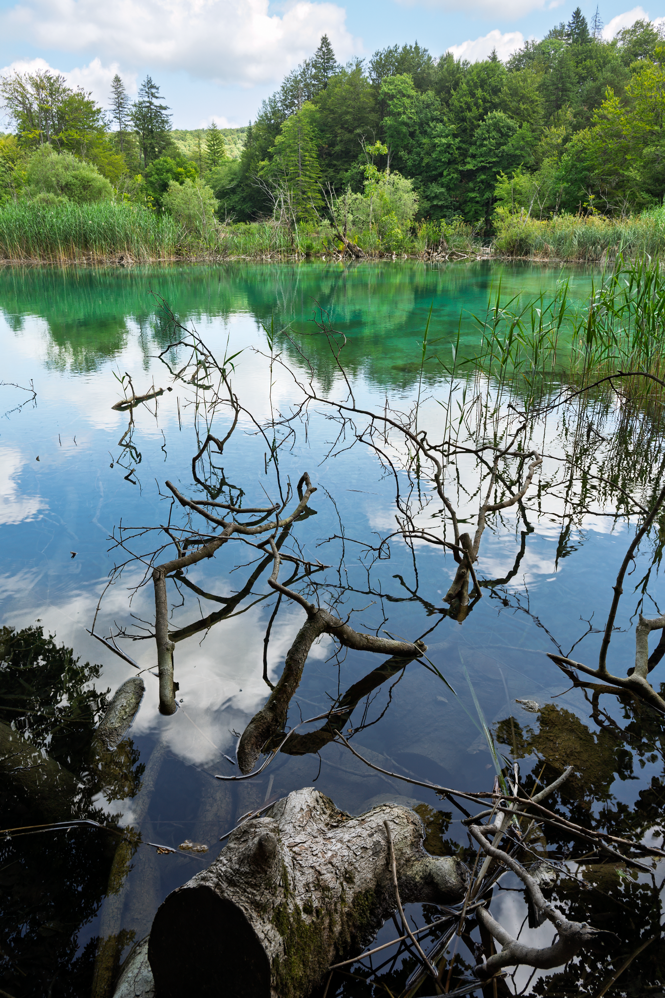 _DSC2597-Edit_Long Edge_1365x2048_U_70.png