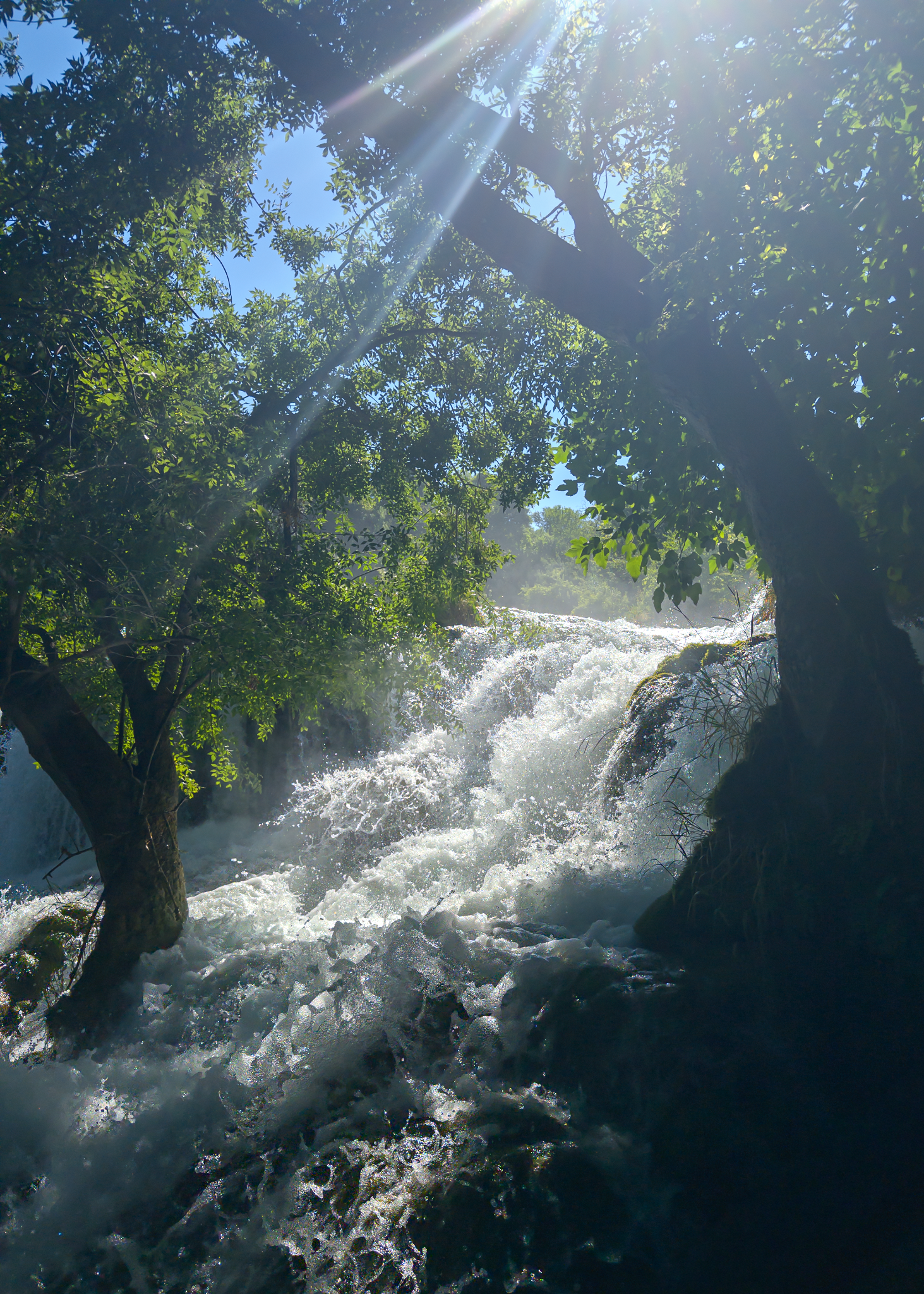 LOGL9062-Edit-Edit_Long Edge_1463x2048_U_70.png