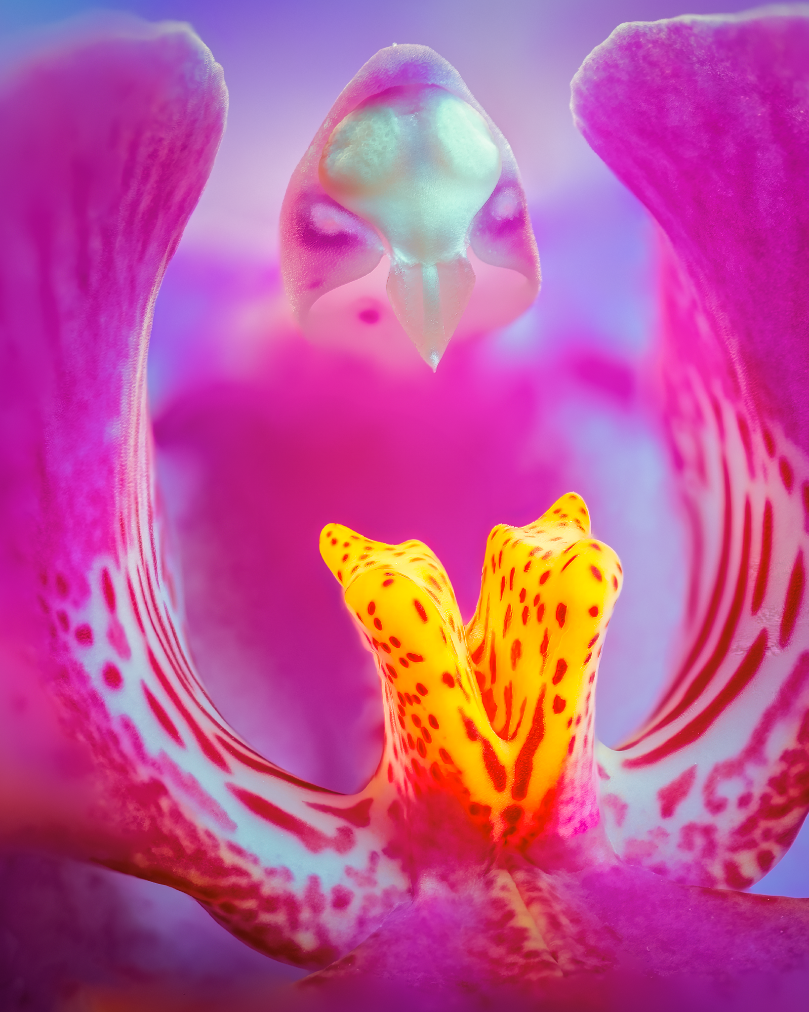 2023-03-21 13-11-38 (B,R8,S4)-LumOK-sharpCrop_1638x2048_U_70_Long Edge.png