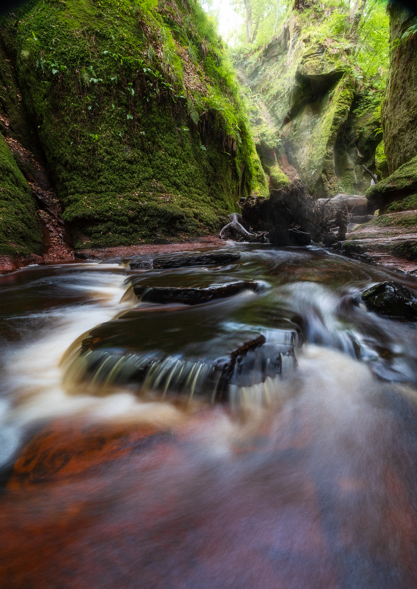 FinnichGlenGorge-04-41x29cm_1449x2048_U_70_Long Edge.png