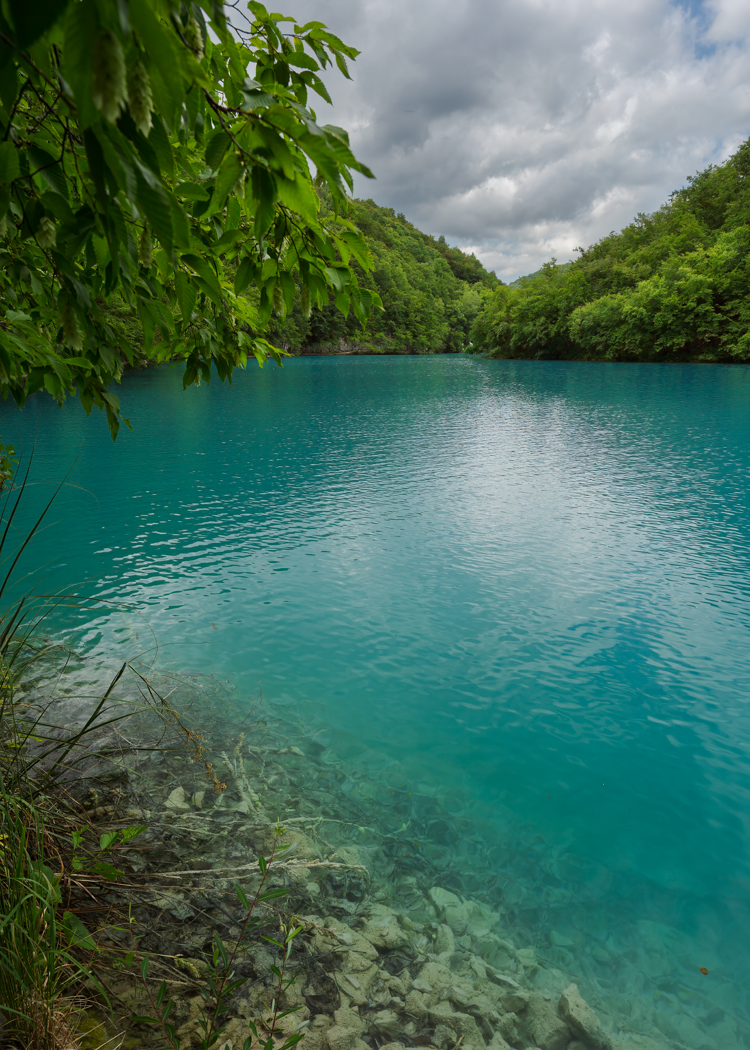 _DSC2585-DxO_DeepPRIME 3-Edit_Long Edge_1463x2048_U_70.png