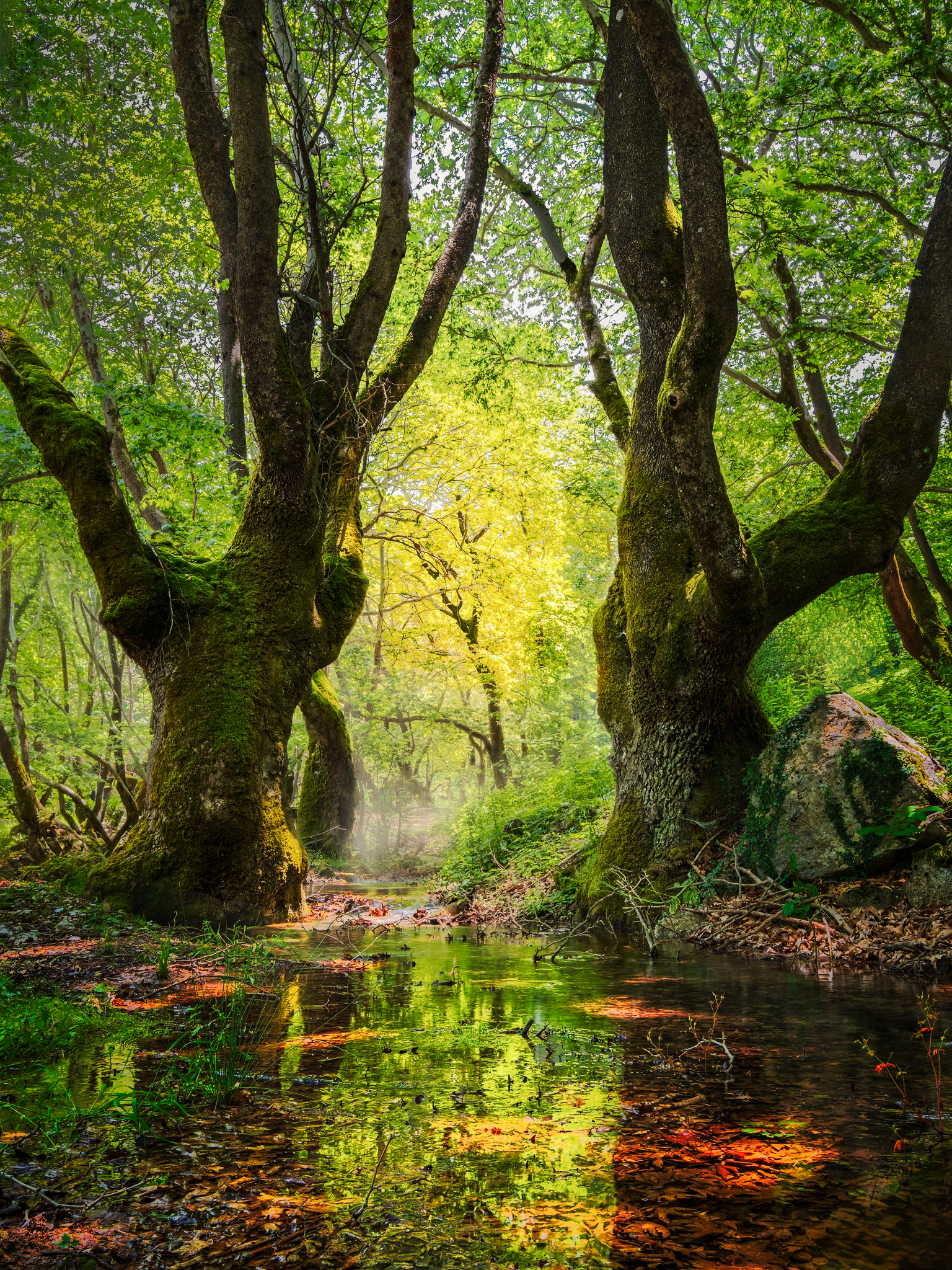 DSCF3875-Edit-LUM-OK-3-LUM-LIGHT-2-OK-5b-30x40cm_1536x2048_U_70_Long Edge.png