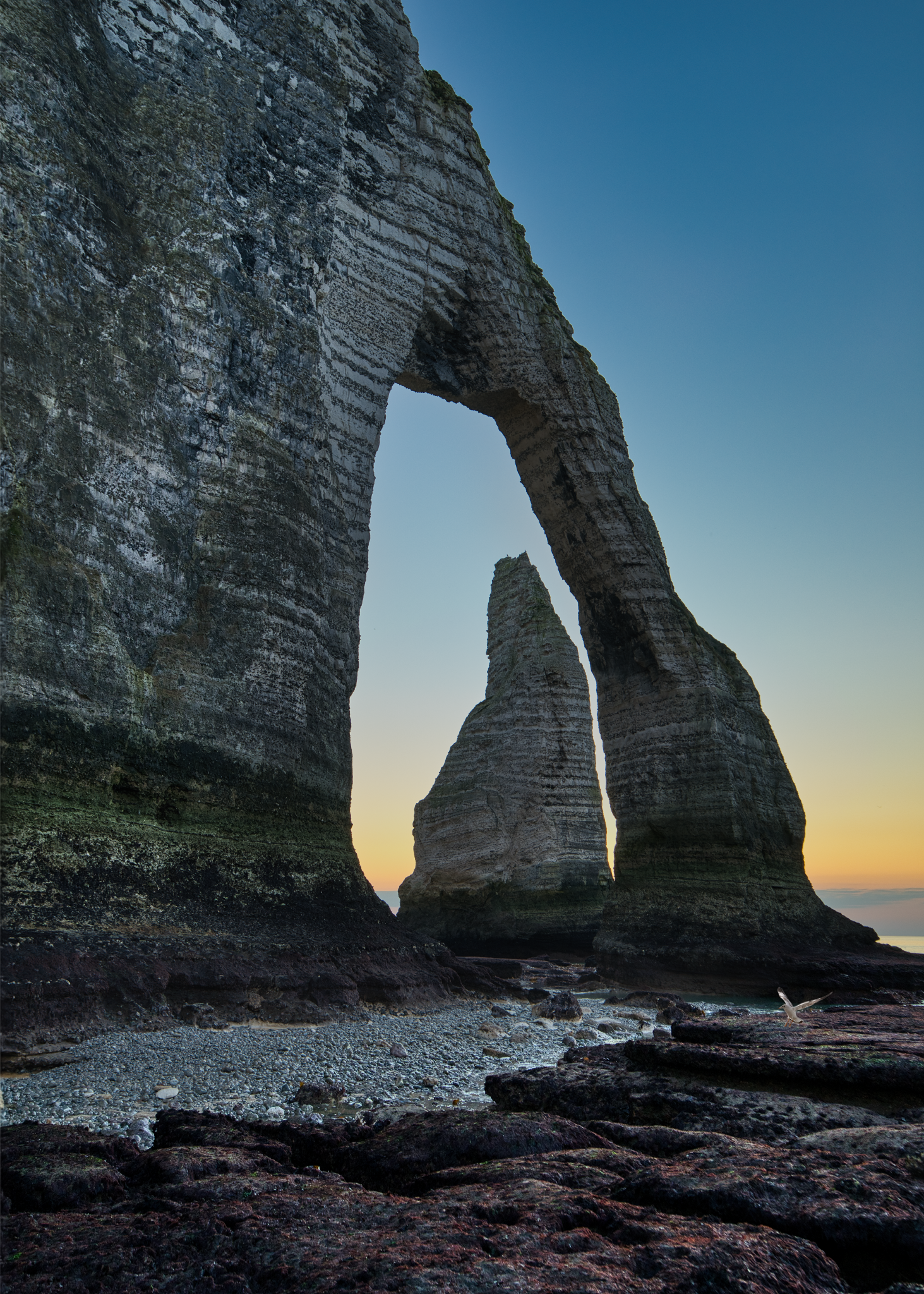 _OZ81150_hdrSeagull_Long Edge_1463x2048_U_70.png