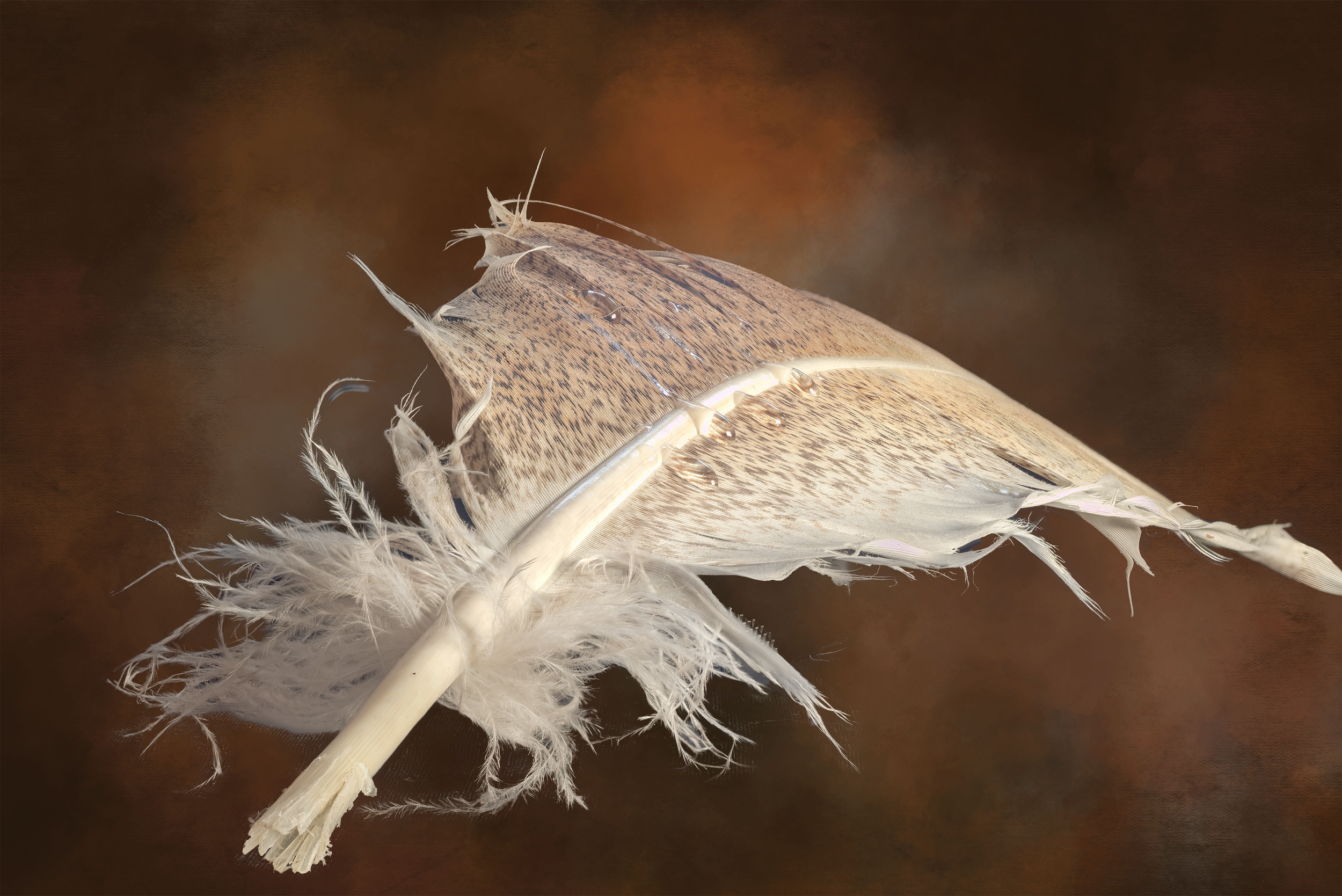 WebExport_4096px_2022-10-08 15-50-10 (B,R8,S4)-SharpenAI-Motion.png