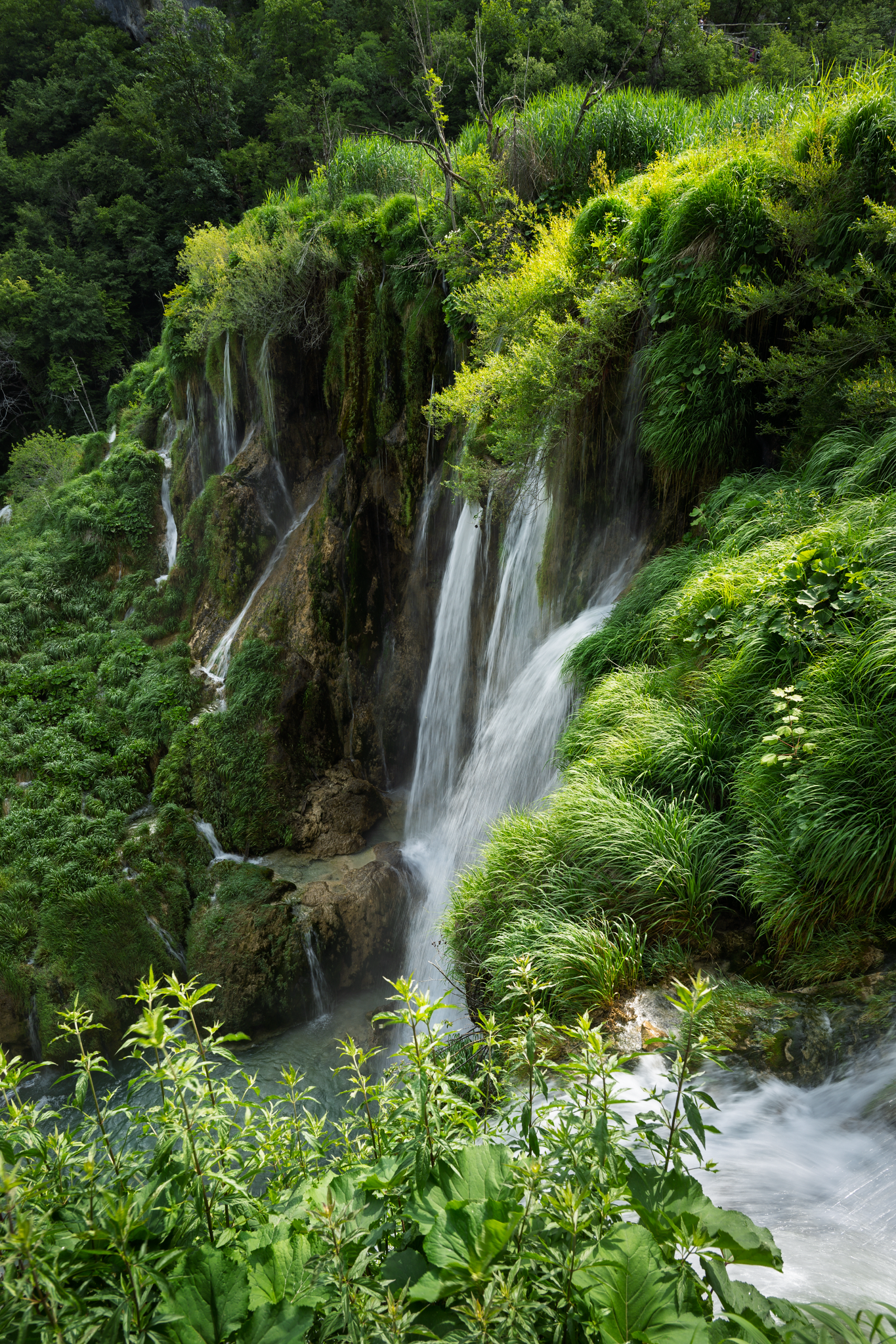 _DSC2556-Edit_Long Edge_1365x2048_U_70.png