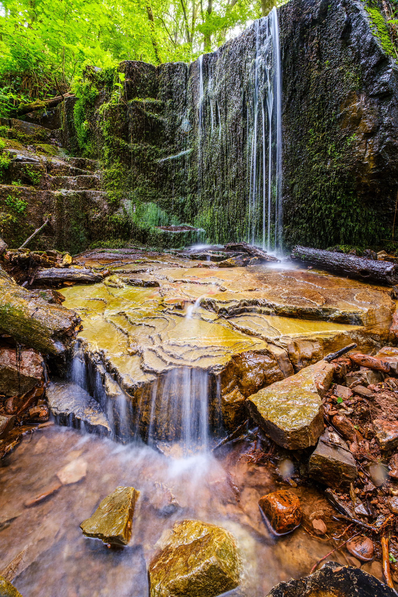 _DSF1238-Enhanced-NR-Edit_1365x2048_U_70_Long Edge.png