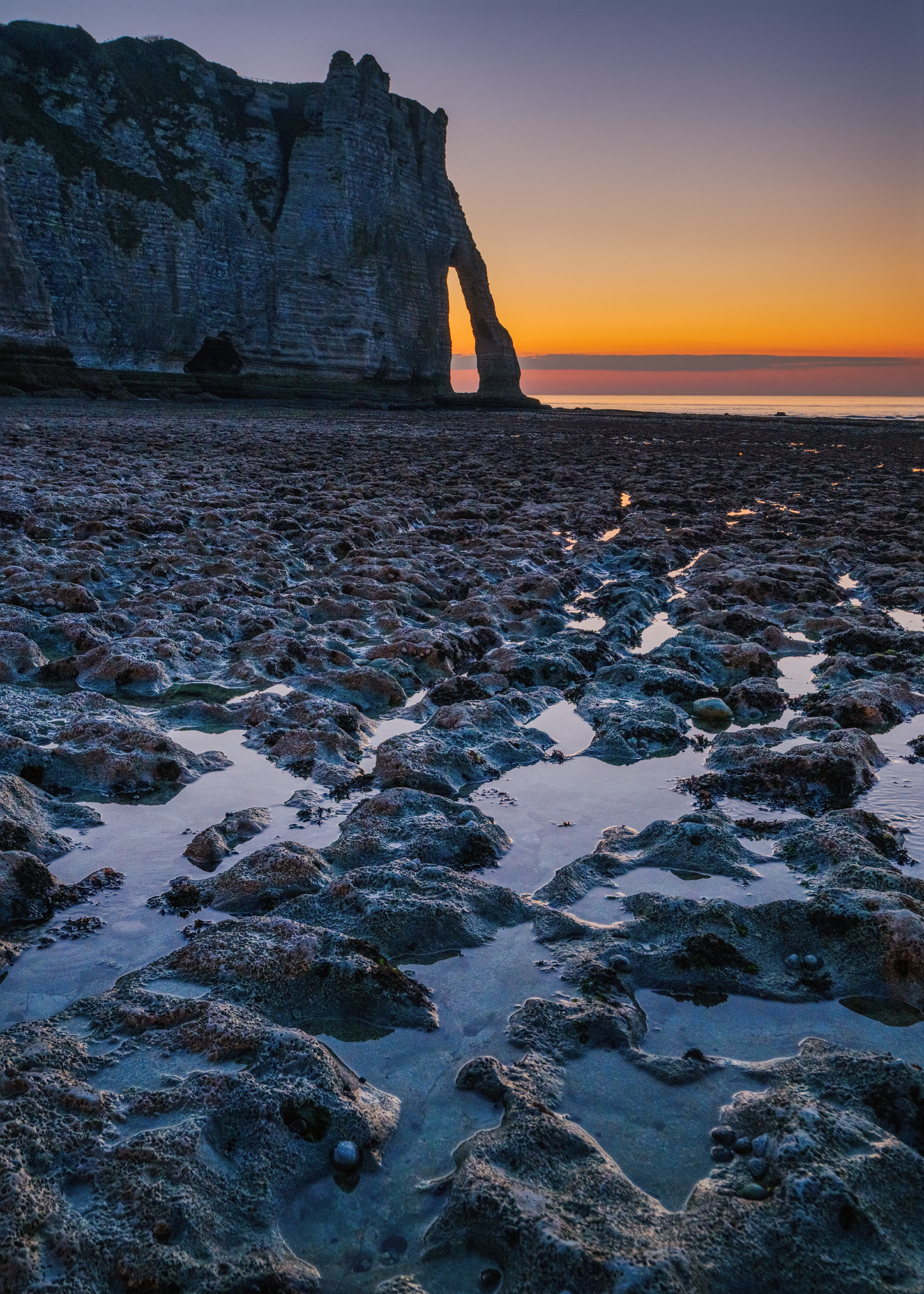 _OZ81202-03_hdr_Long Edge_1463x2048_U_70.png