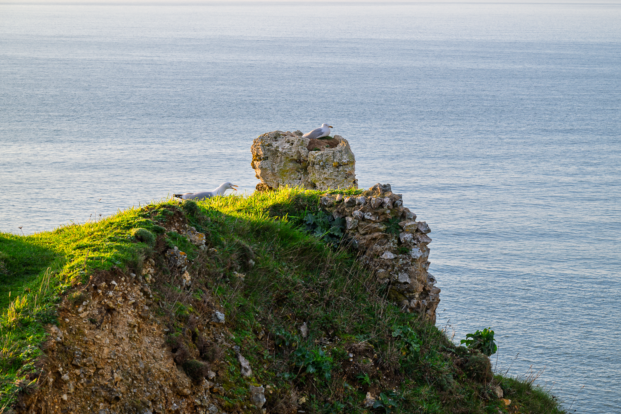 _OZ80652_Long Edge_2048x1365_U_70.png