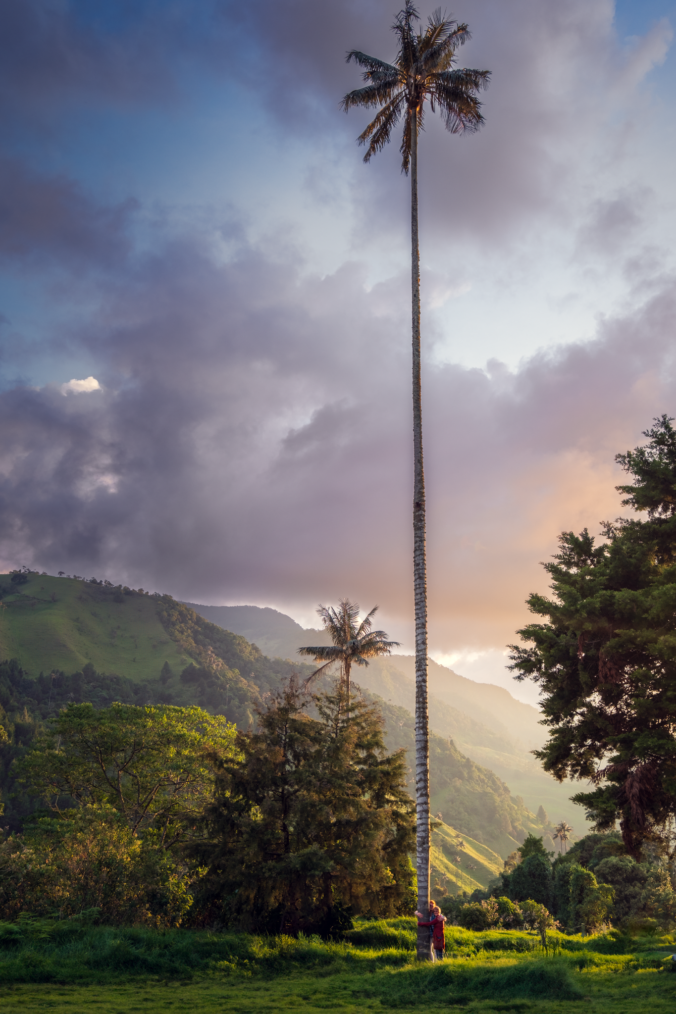 _DSF9522-Edit-Edit-Edit-2-New_Long Edge_1365x2048_U_70.png