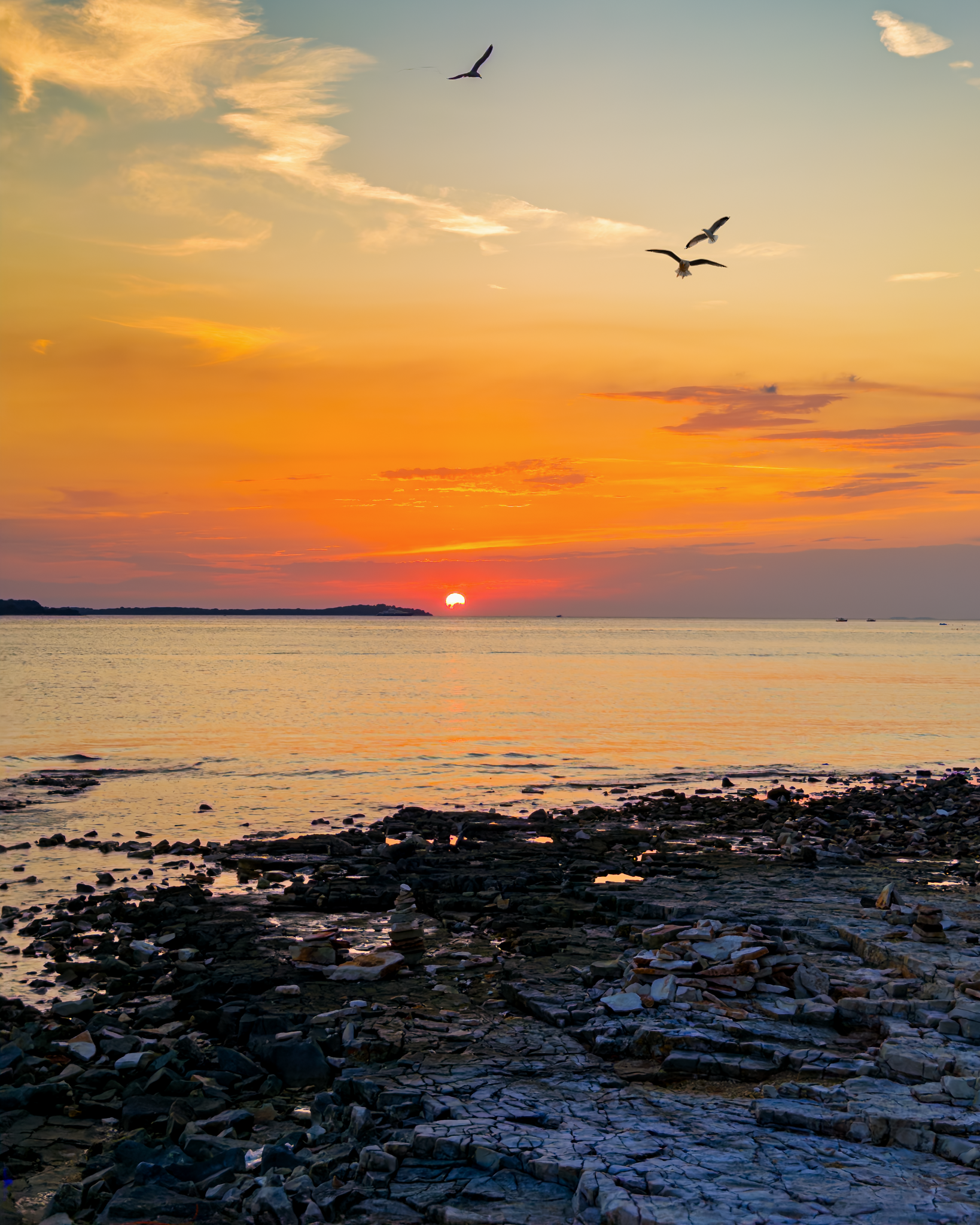 DQVM2257-2-Edit_Long Edge_1638x2048_U_50.png