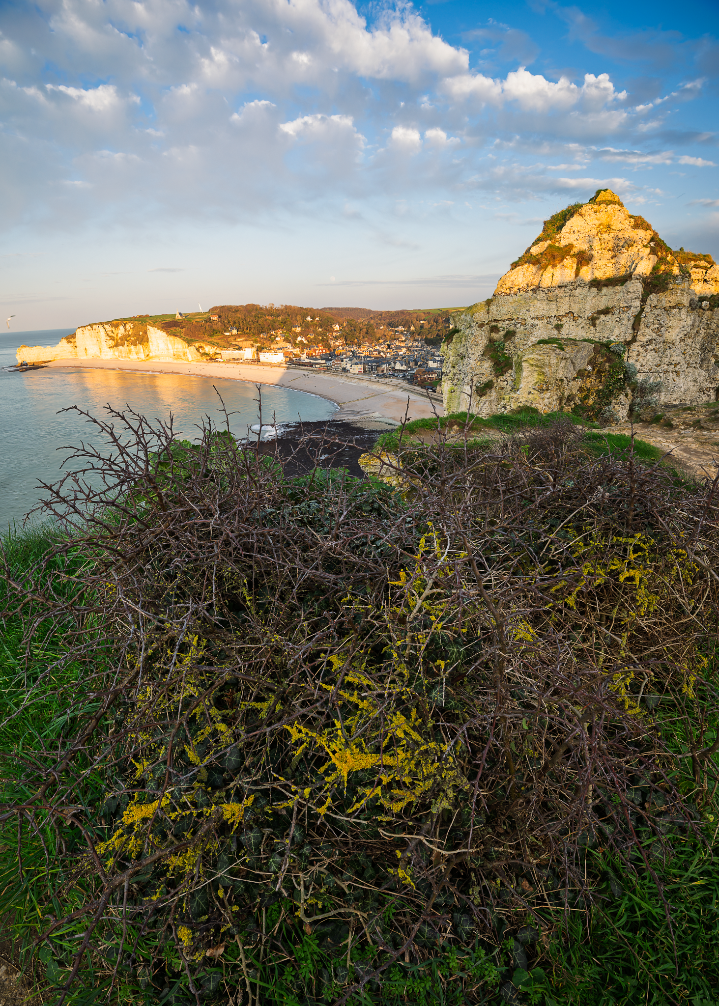 _OZ80677-DxO_DeepPRIME 3_Long Edge_1463x2048_U_70.png