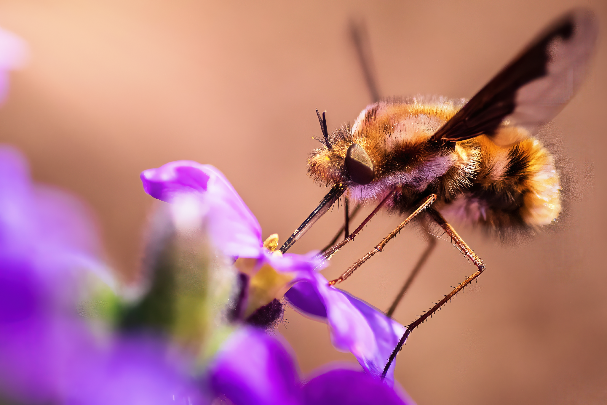 IMGP4169-2-GigaPixelx2-PlusExporurePrint_2048x1367_U_70_Long Edge.png