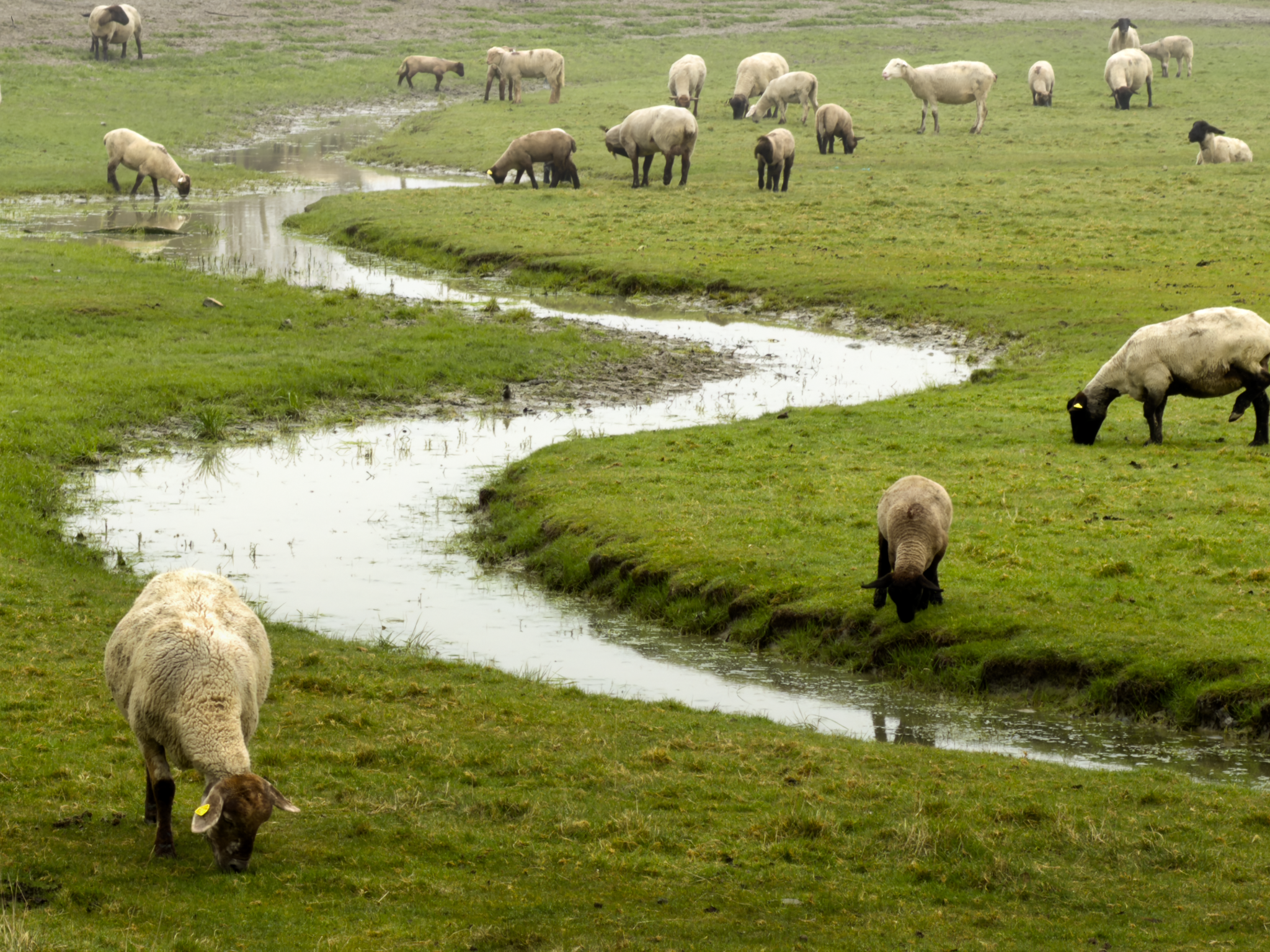 IMG_4607_Long Edge_2048x1536_U_70.png