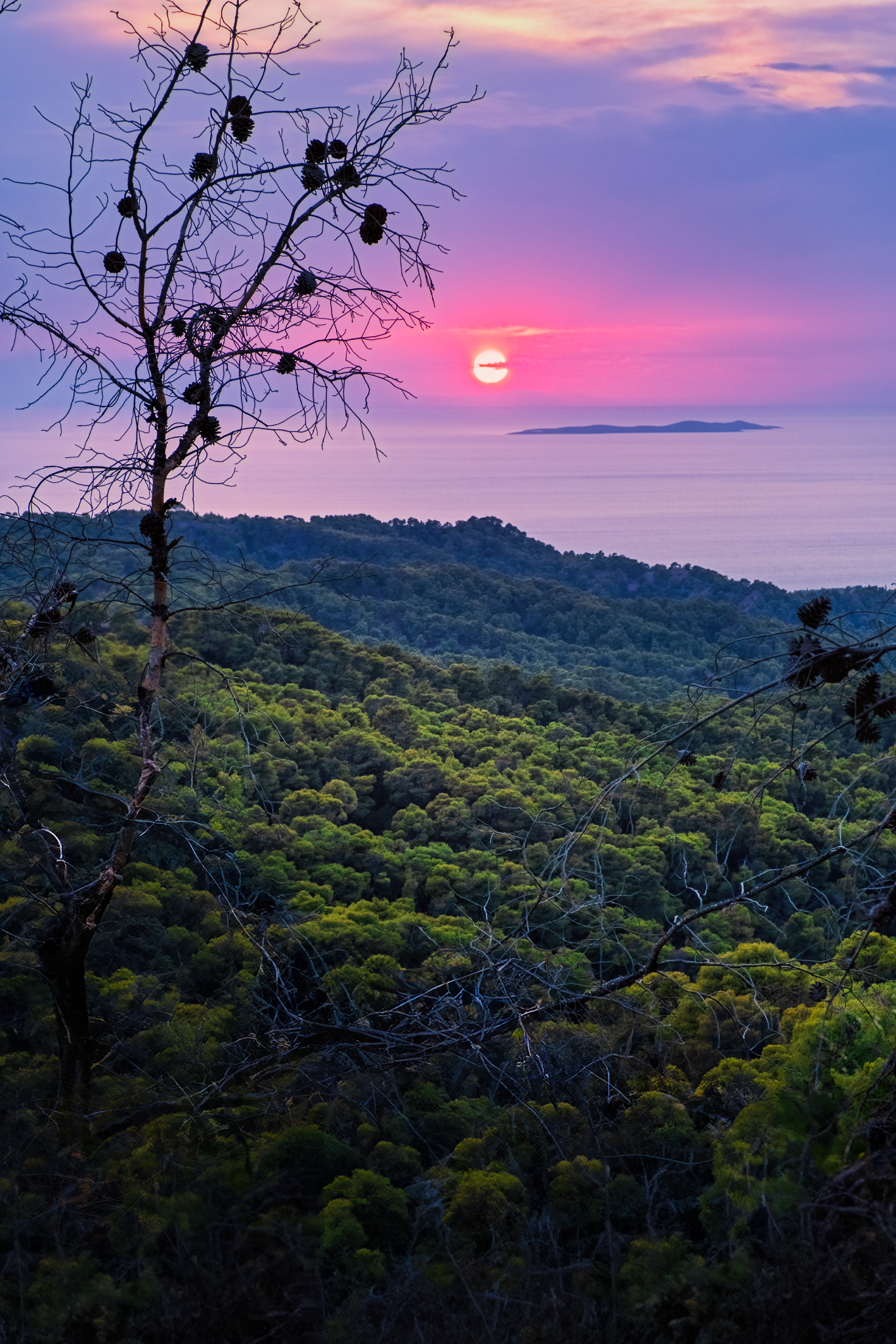 _DSF2381_hdr (1)-LUM_1365x2048_U_70_Long Edge.png