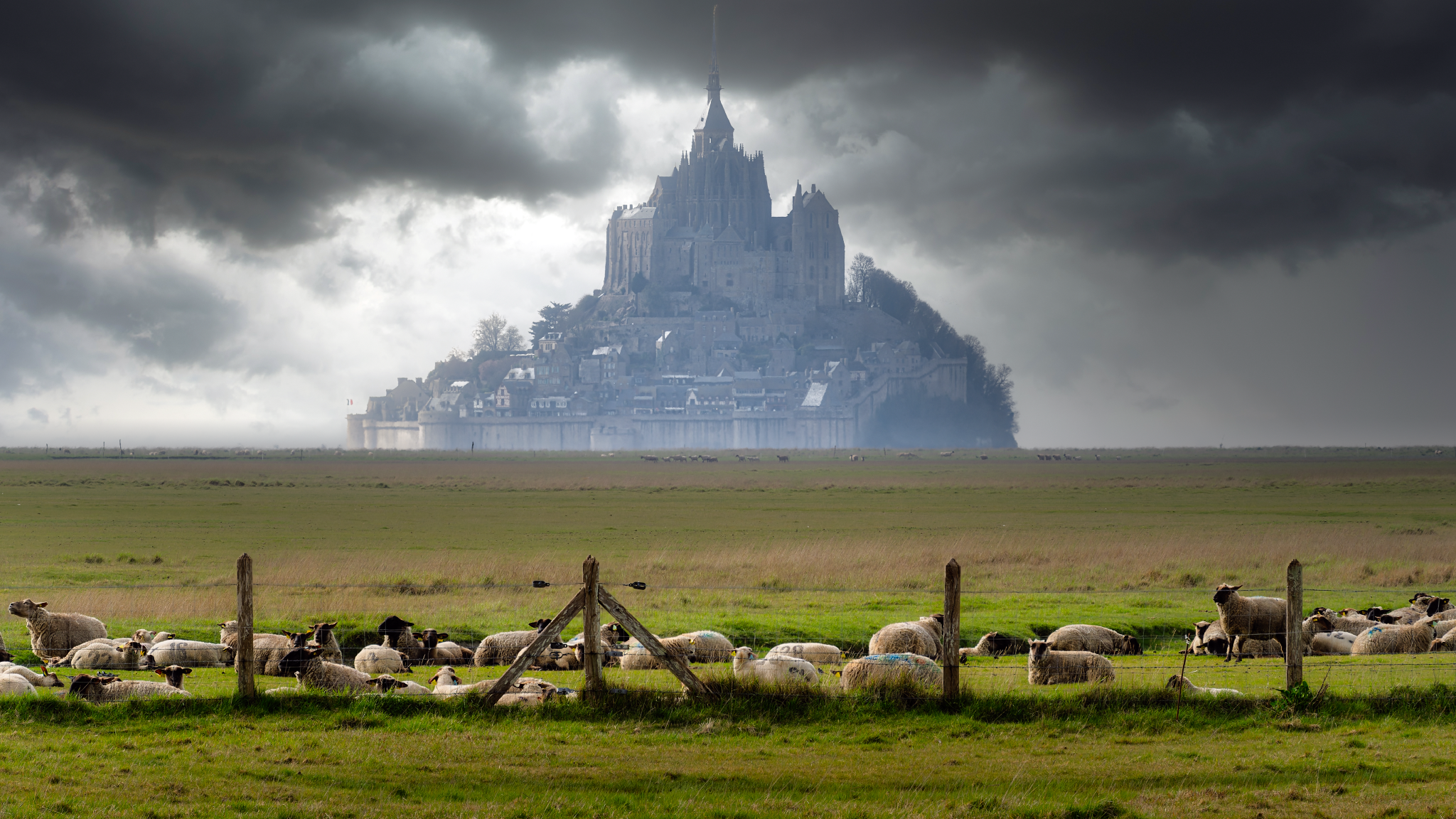 2026-03-14 17-19-55 (B,R8,S4)-LUM2Final_Long Edge_2048x1152_U_70.png