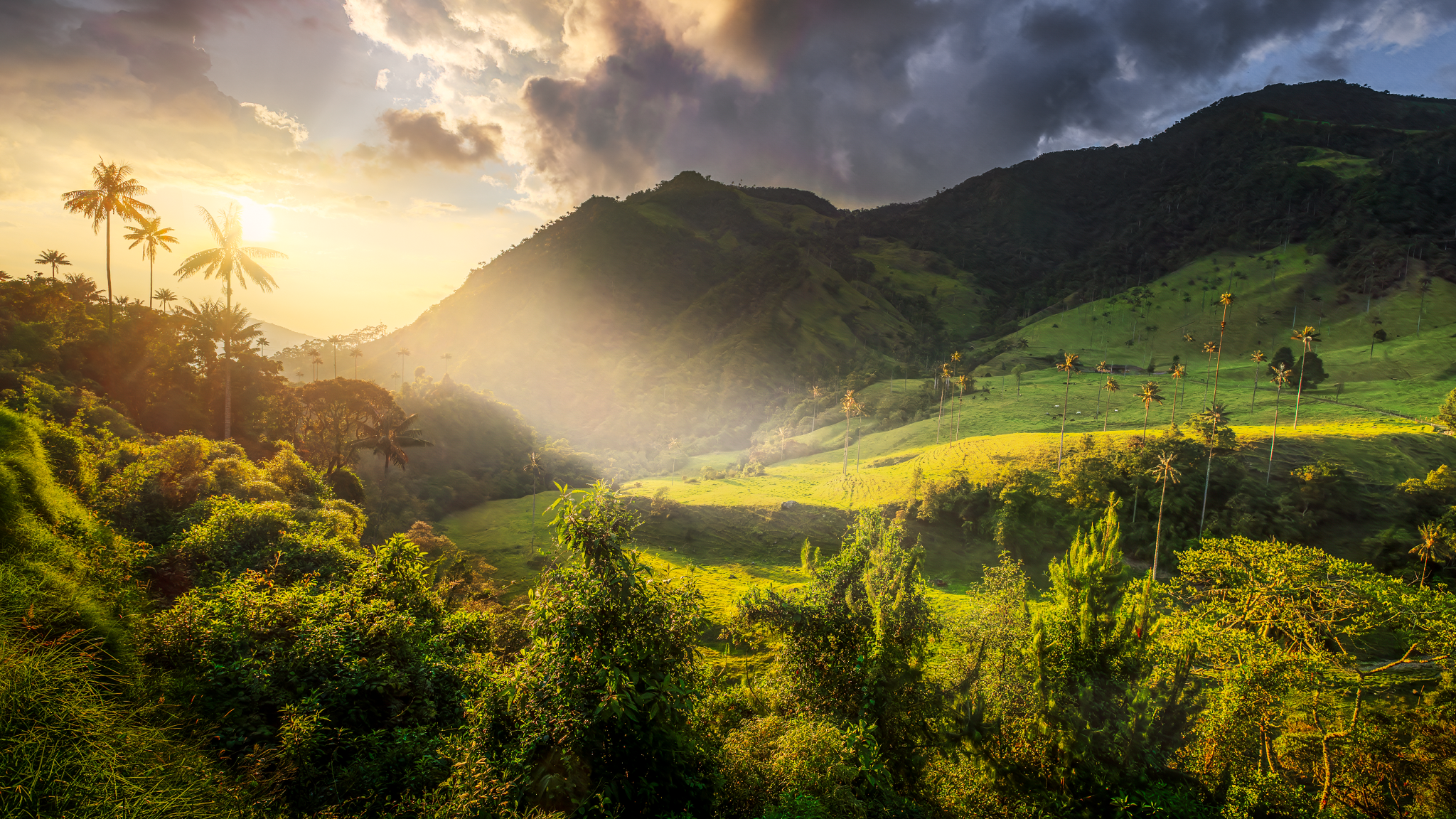 _DSF9513-RAF_DxO_DeepPRIMEXD-Edit-2-Edit-Edit-Edit-Edit-Plus30Print-3OK-16-9-OK_2048x1152_U_70_Long Edge.png