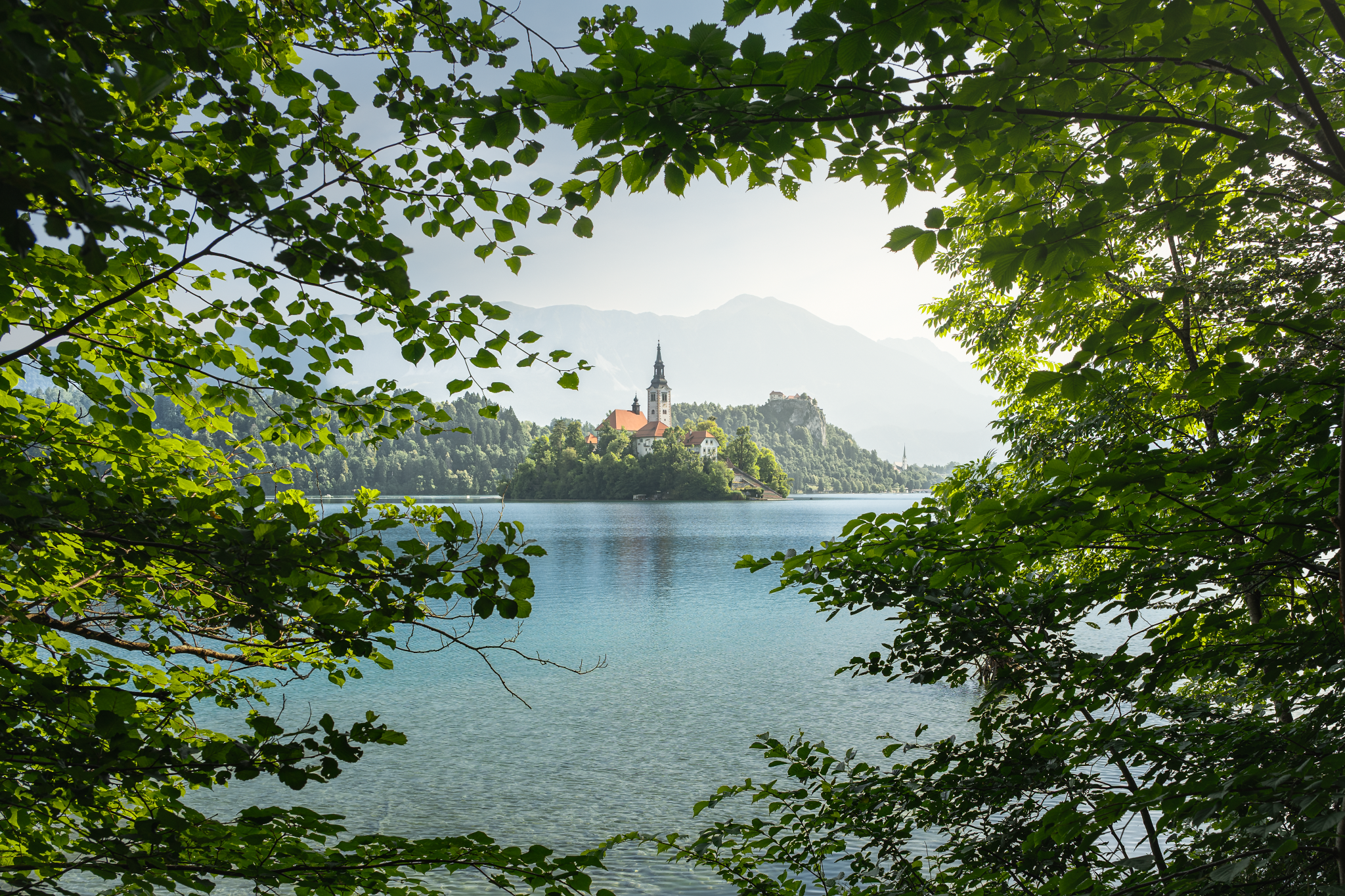 _DSC2465-New_Long Edge_2048x1365_U_70.png