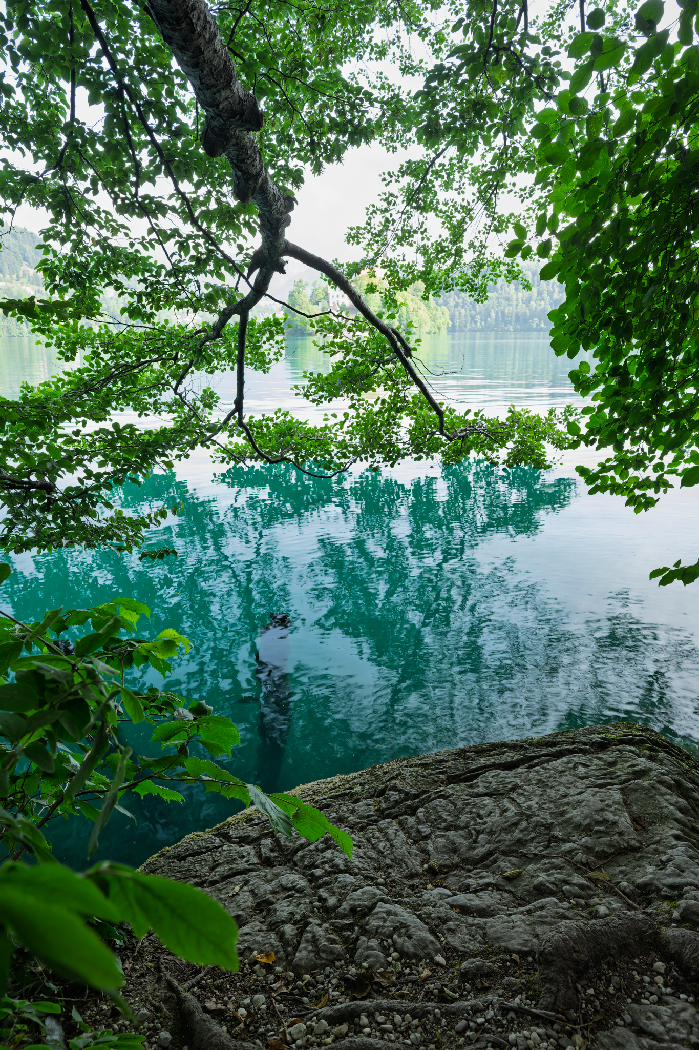 2025-07-10 20-33-04 (B,R8,S4)-1_Long Edge_1365x2048_U_70-2.png