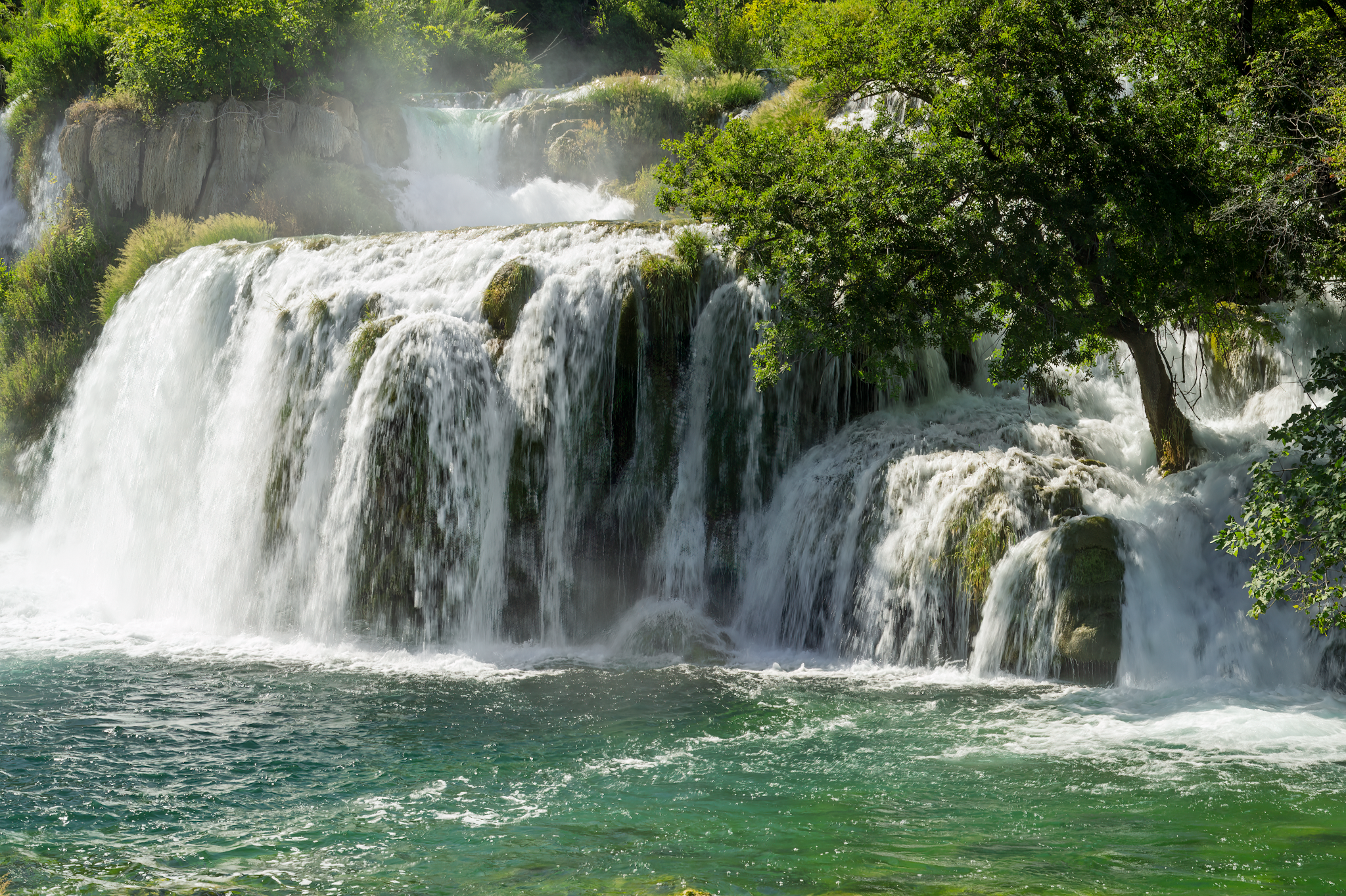 _DSC2729-DxO_DeepPRIME 3-Edit_Long Edge_2048x1365_U_70.png