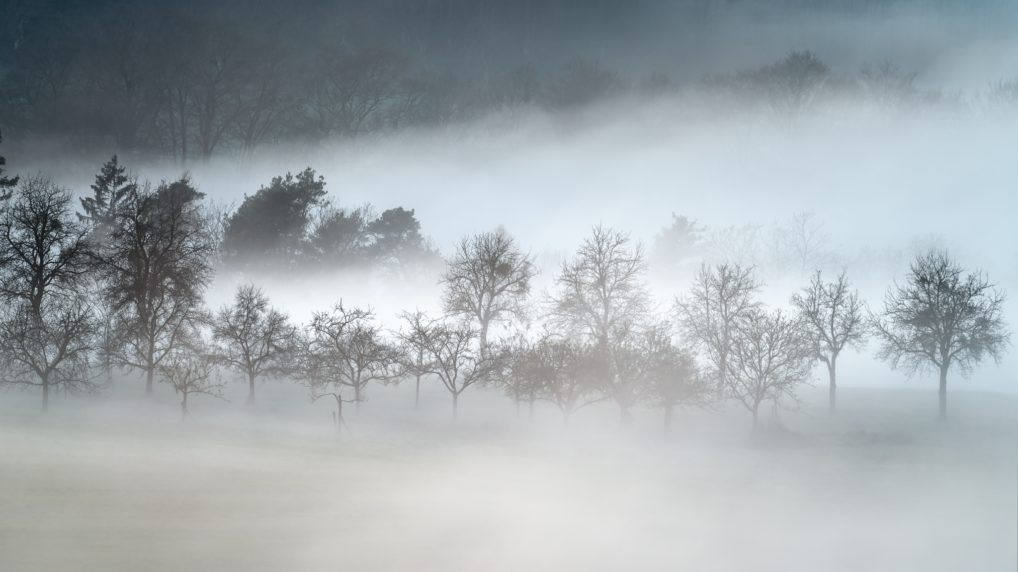 _DSC1647_DxO-HDR-Edit_2048x1152_U_70_Long Edge.png