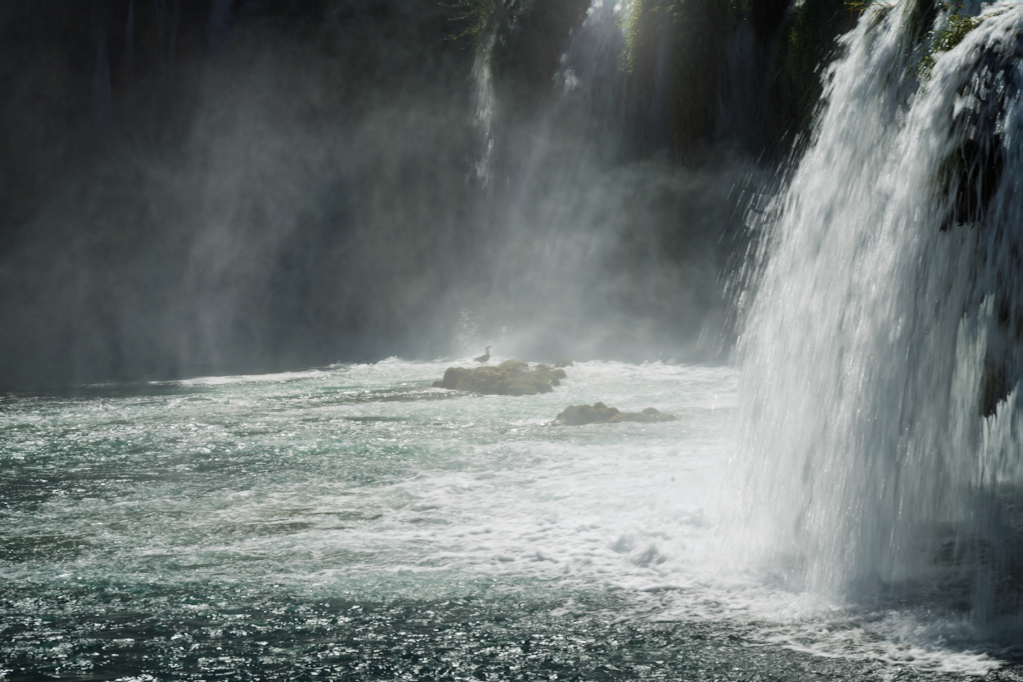 _DSC2731-DxO_DeepPRIME 3-Edit_Long Edge_2048x1365_U_70.png