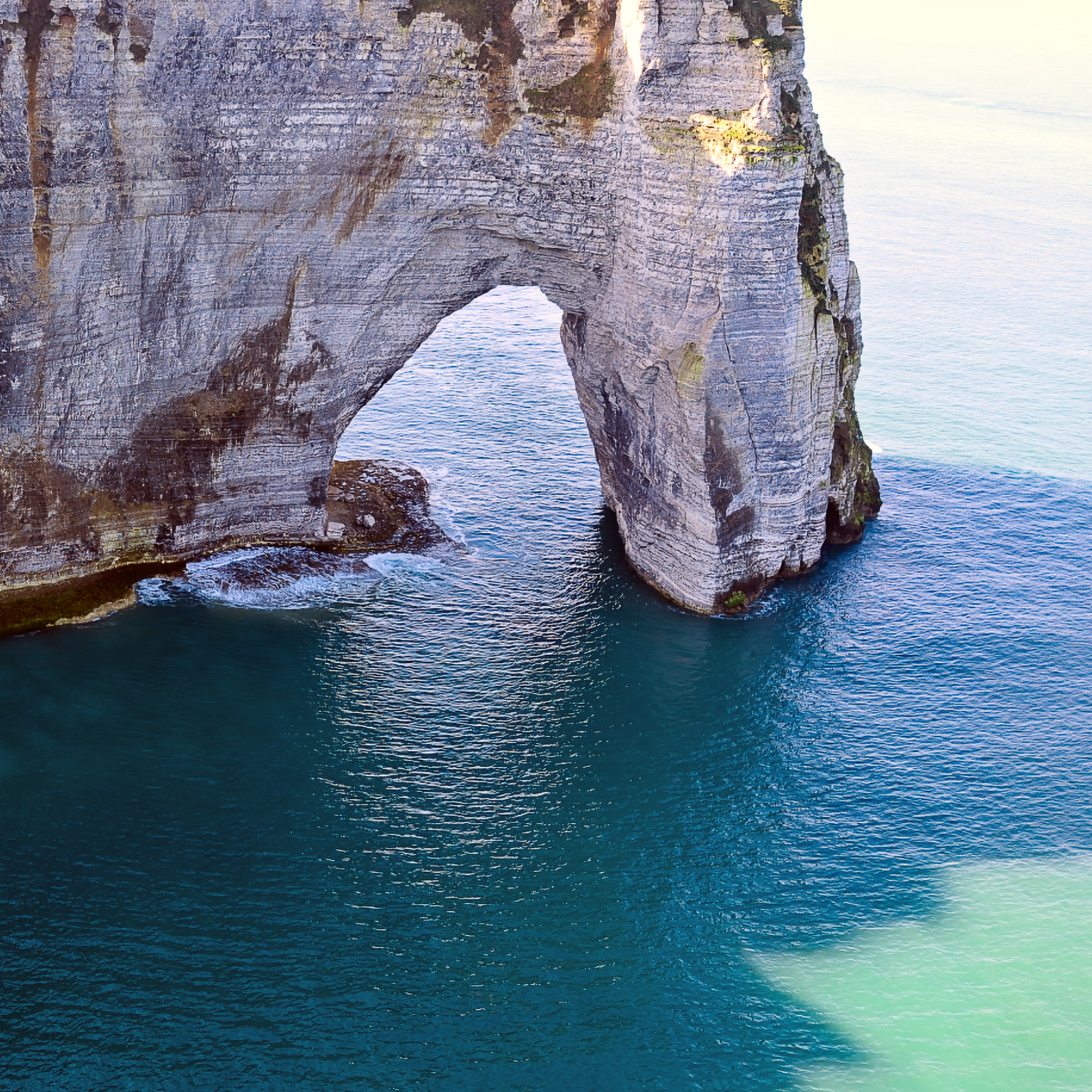 DJI_20260303113156_0010_D-Edit_Long Edge_2048x1280_U_70-DINO_Long Edge_2048x2048_U_70.png