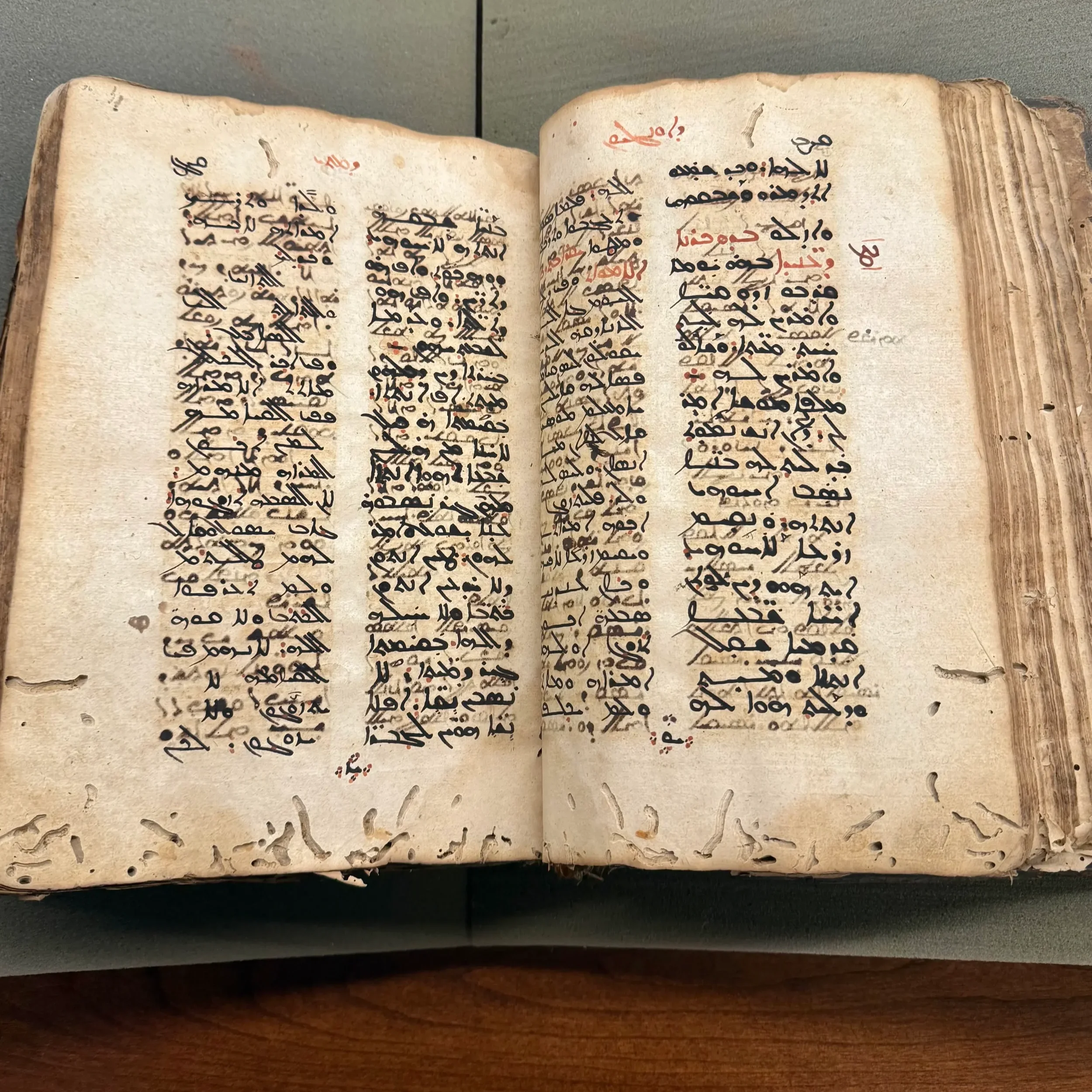 When Bookworms Cause Damage: The Silent Erosion of Knowledge