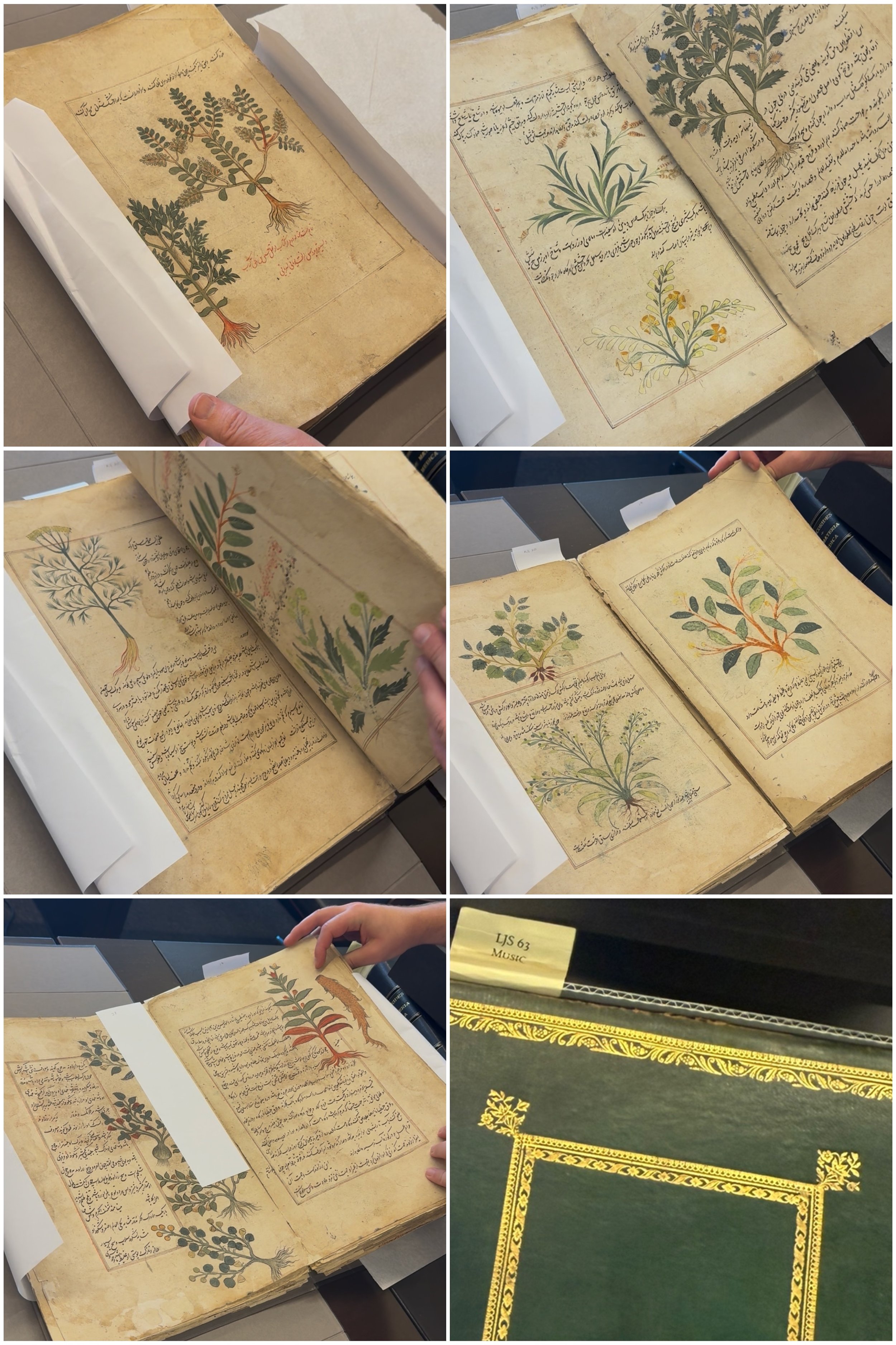 Kitāb-i Ḥashāyish / کتاب حشايش