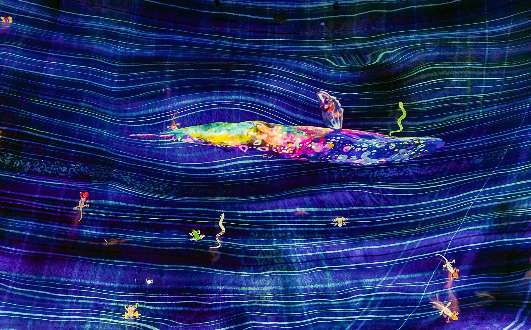 Currents-of-Imagination.jpg