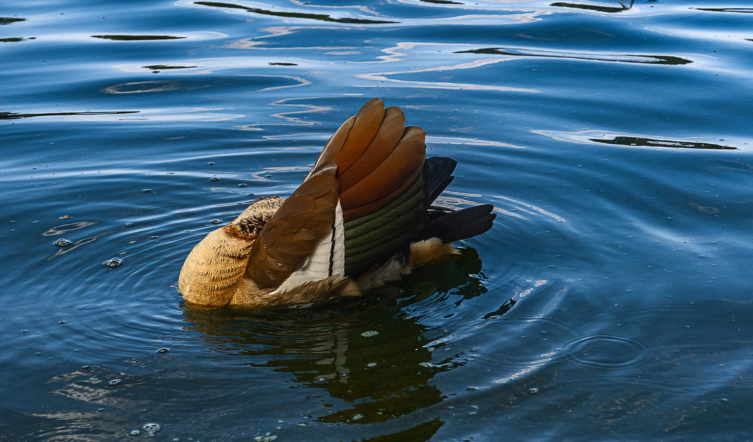 untitled-69.jpg