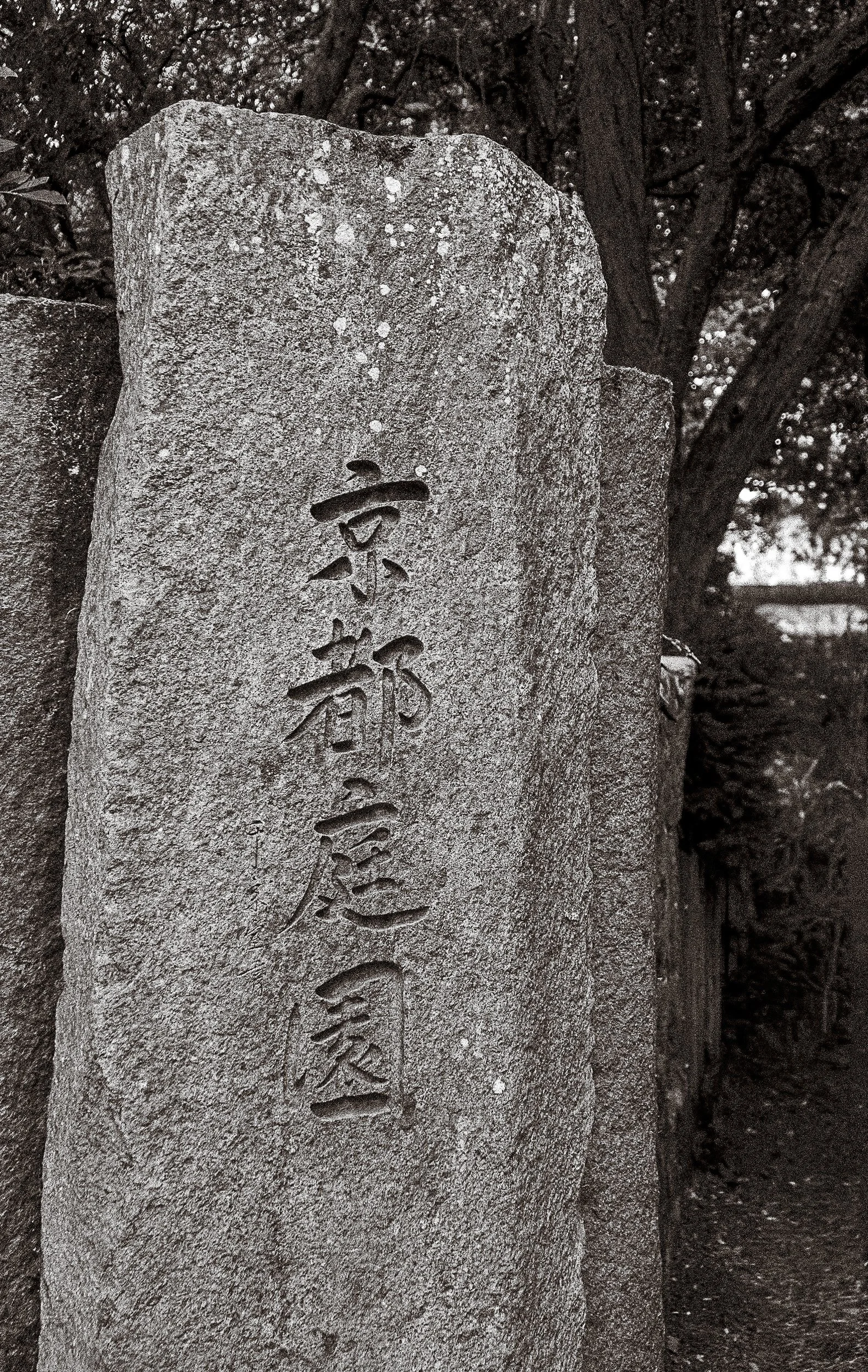 untitled-97.jpg