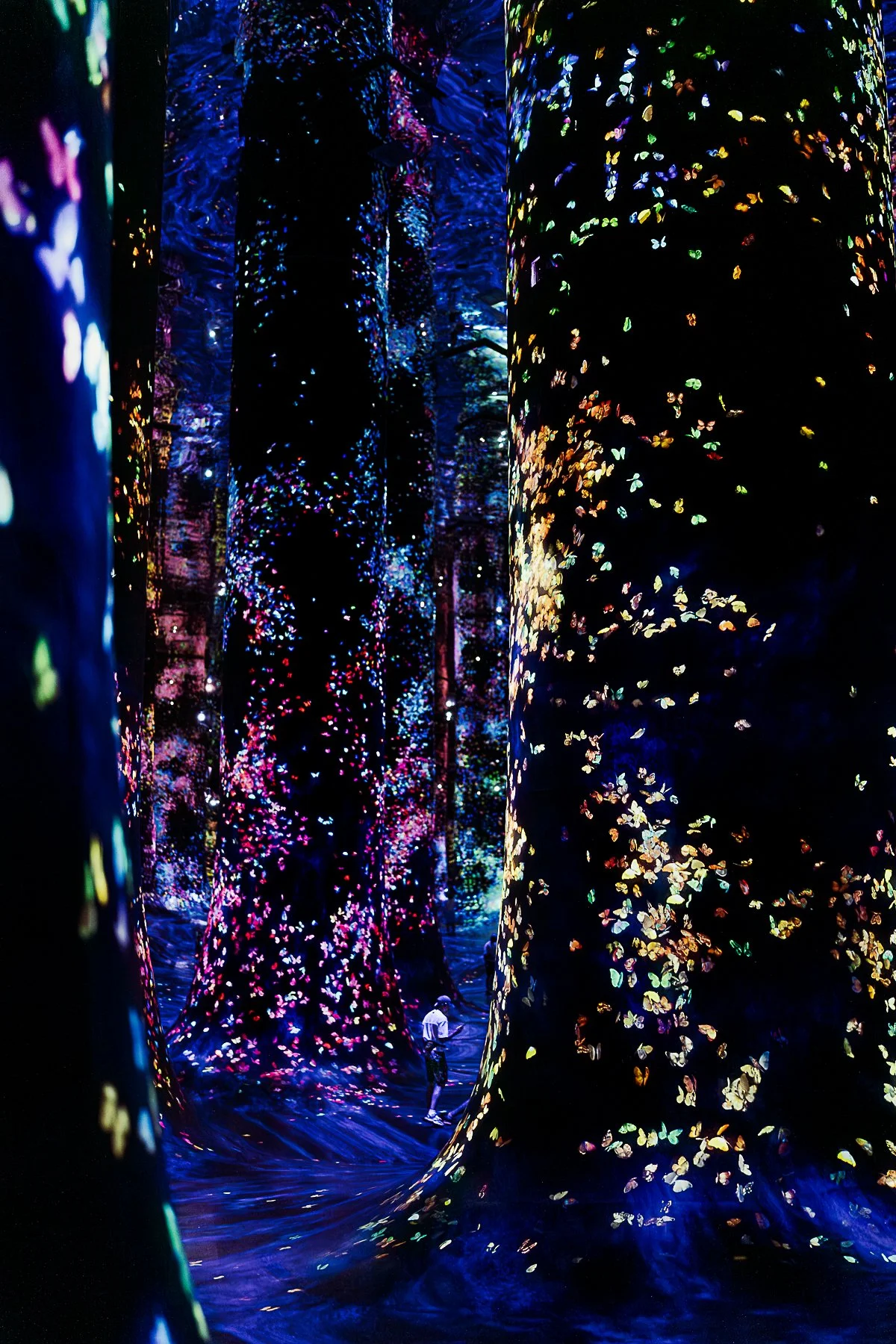 untitled-4.jpg