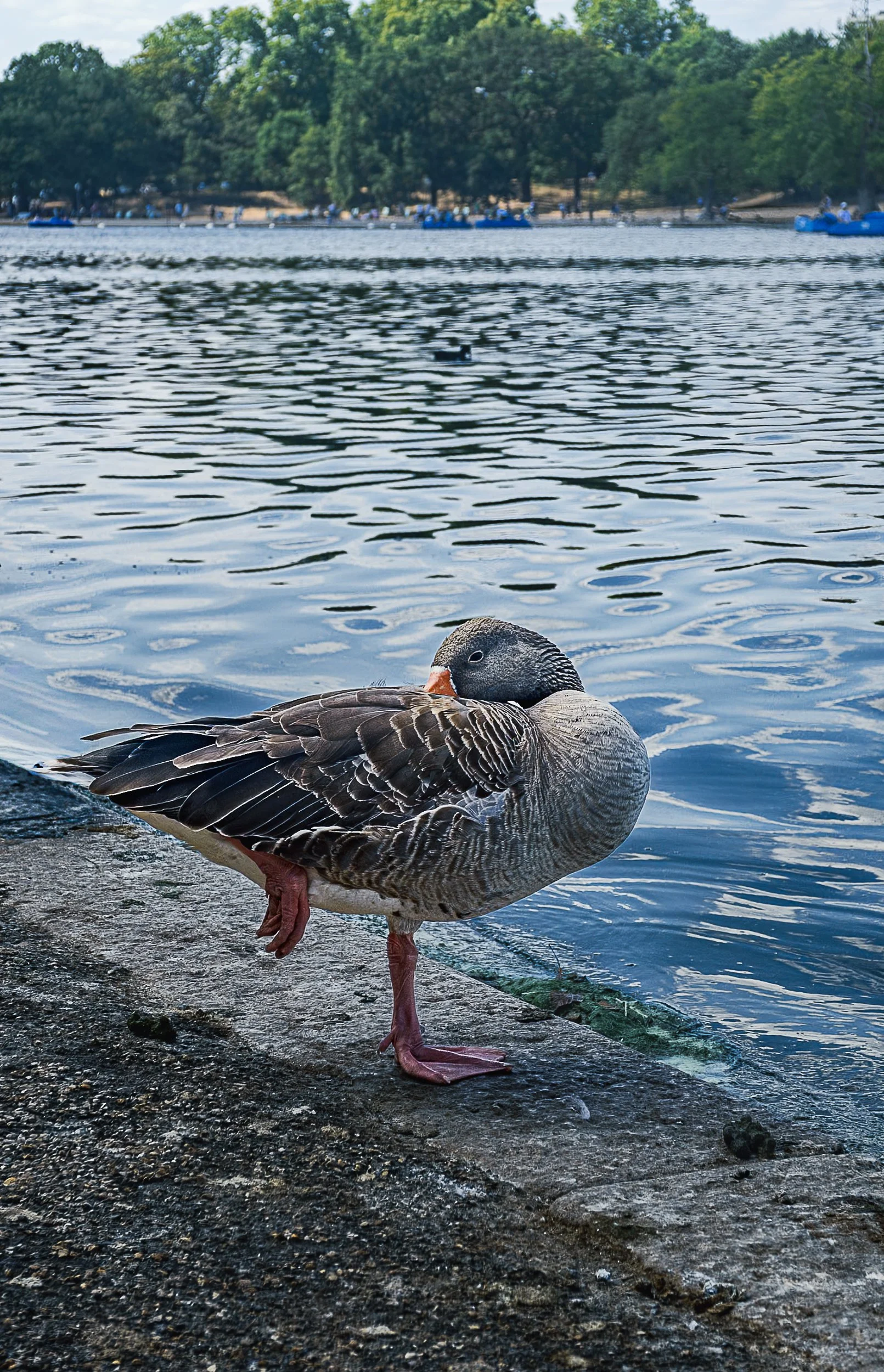 untitled-68.jpg