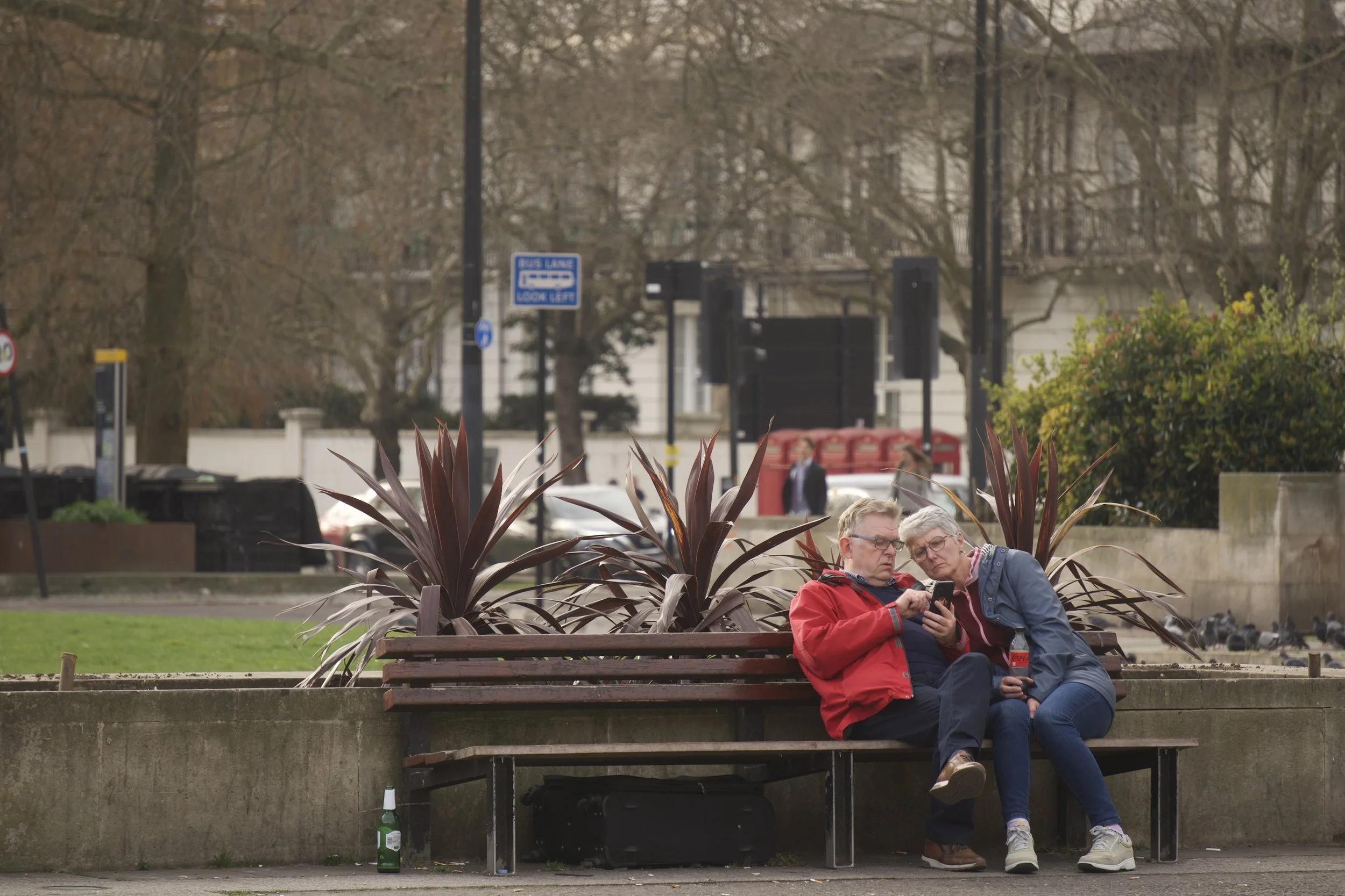 An older man and woman sitting on a park bench, looking at a phone together. The man is wearing a red jacket and glasses, the woman is in a blue jacket and glasses. There are plants behind them and a bottle on the ground near the bench.