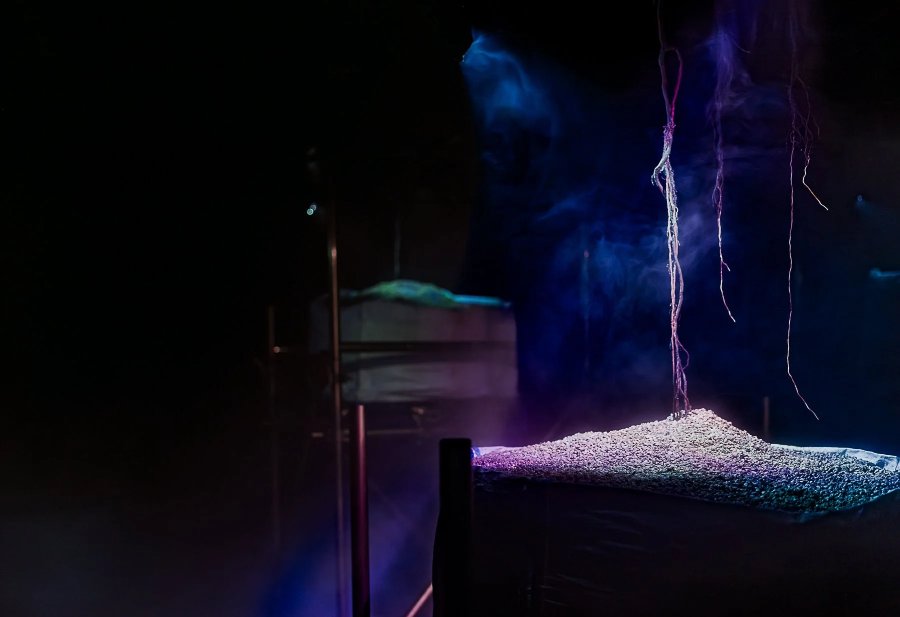 untitled-27.jpg