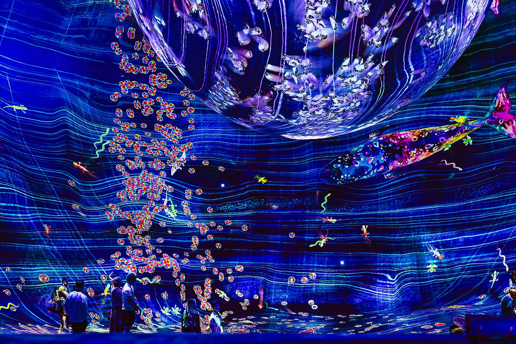 untitled-17.jpg
