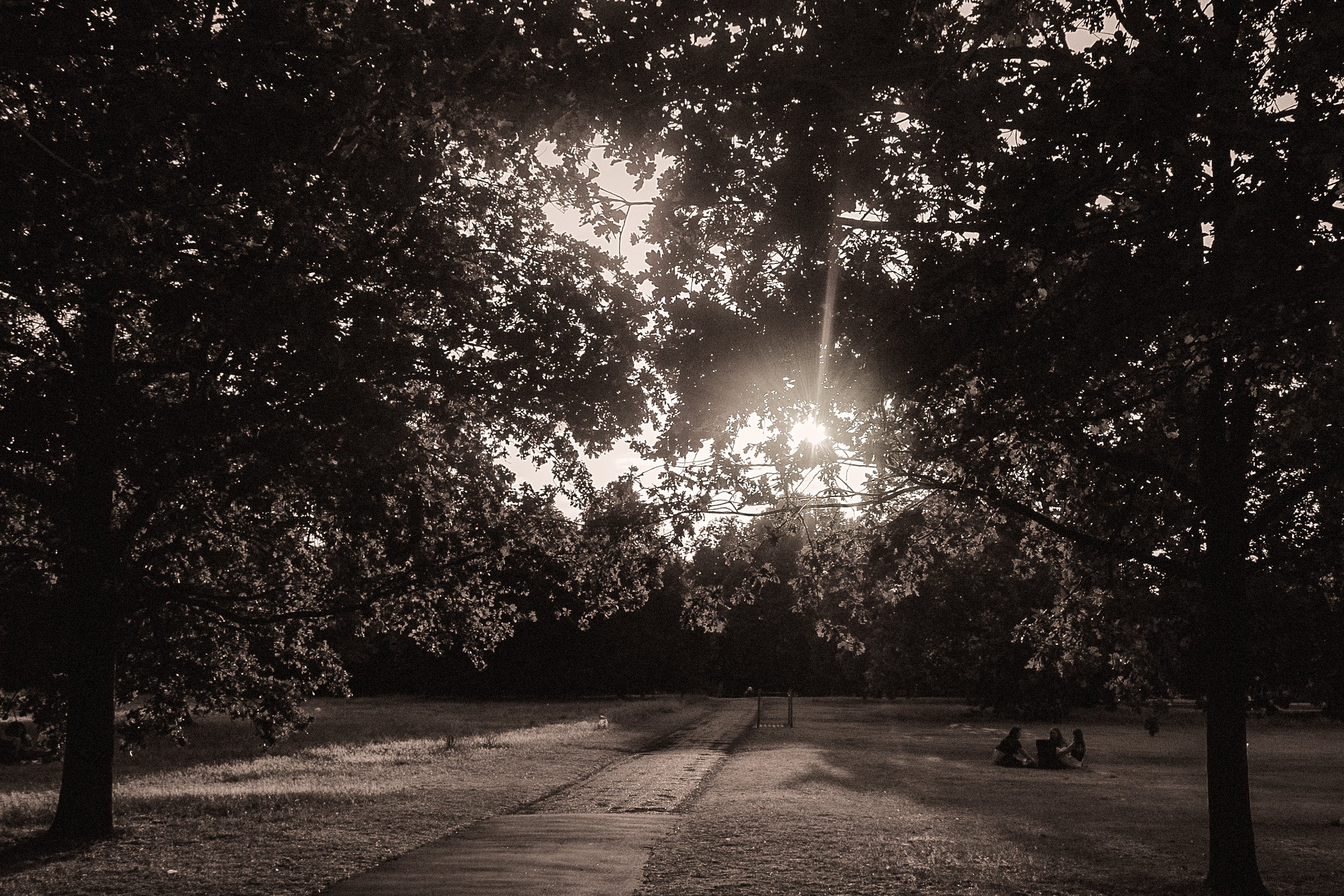 untitled-86.jpg