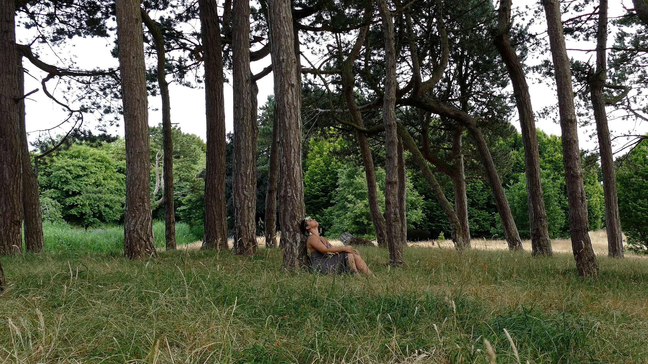 Phenomena Video.00_04_43_18.Still005.jpg