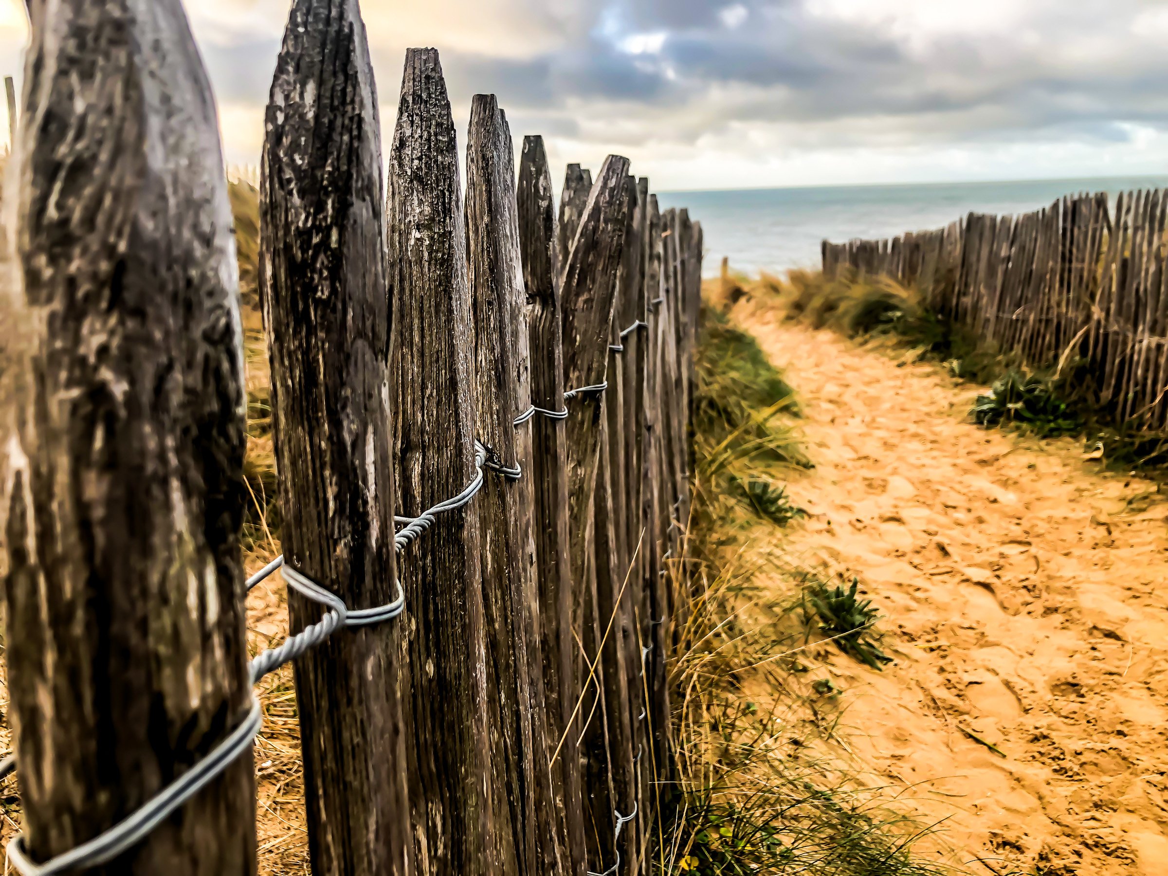 Horizon - Autofiction