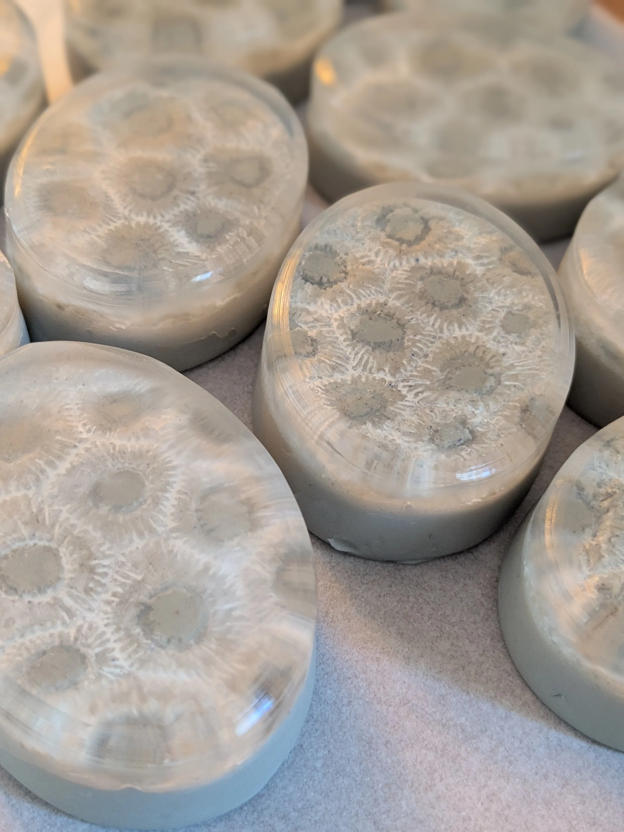 Petoskey Stone-inspired patterns... evolving limnion methodology.