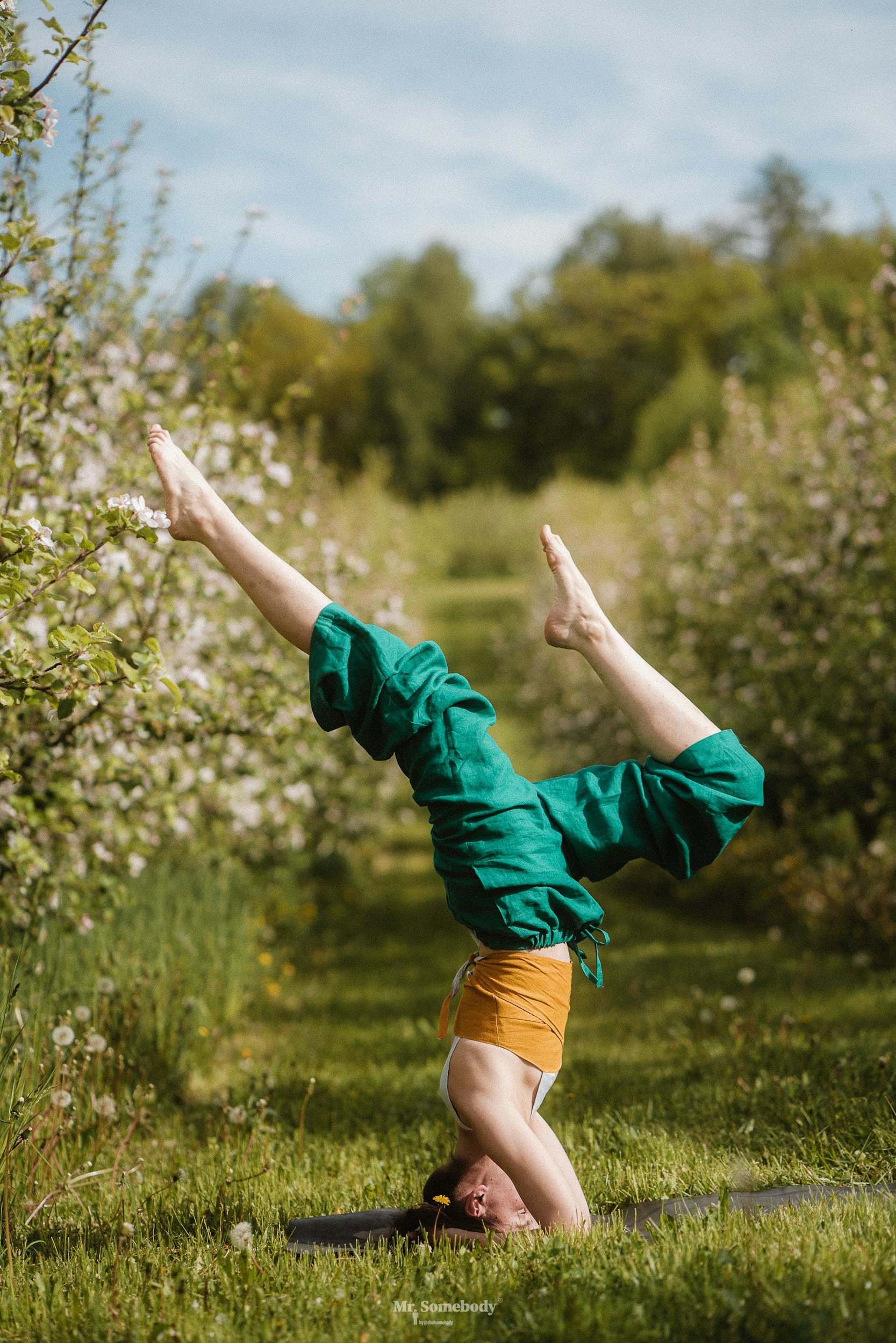 Person performing a headstand yoga pose outdoors on a grassy path, surrounded by blooming bushes and trees.