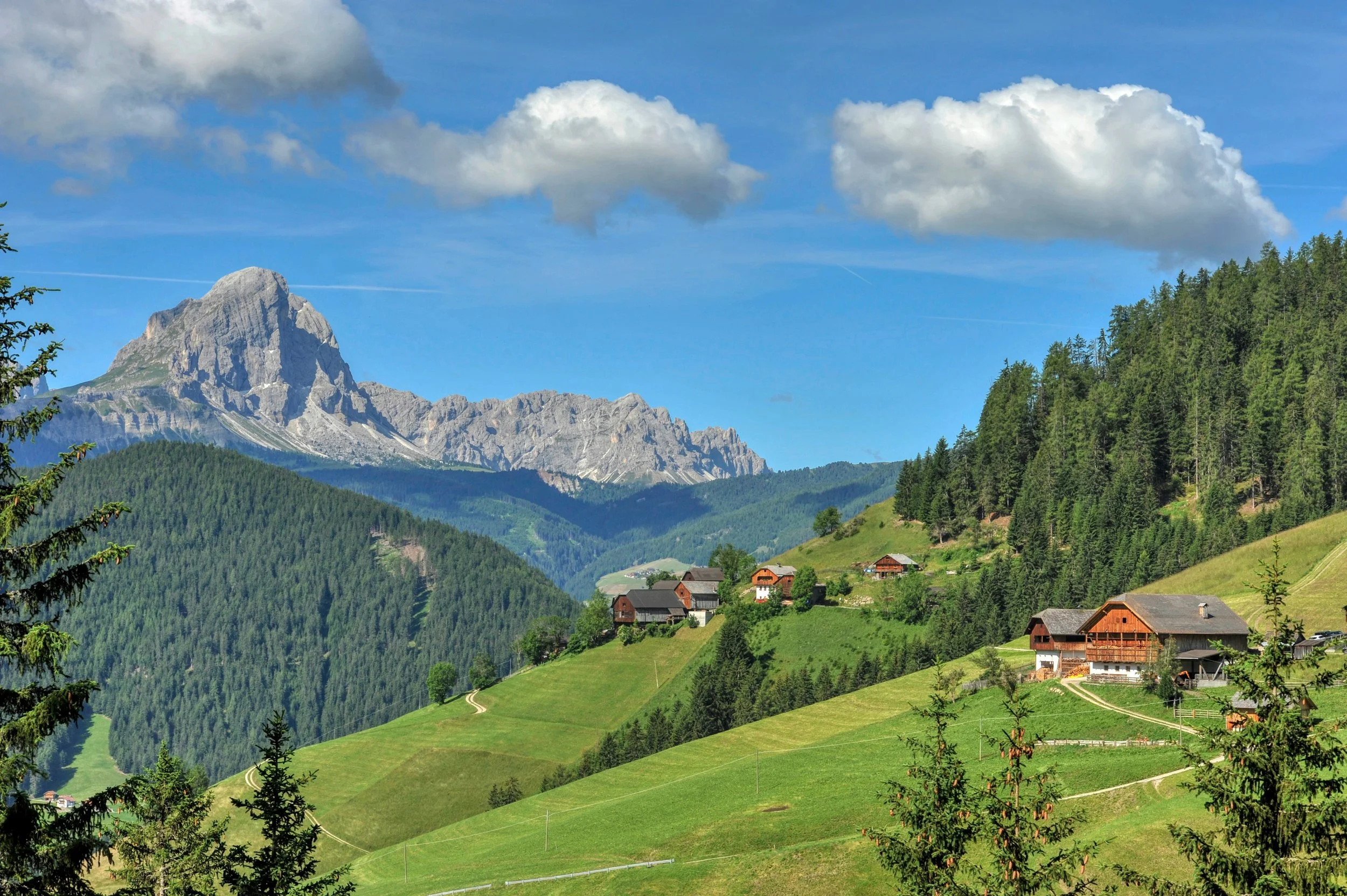Scenic view of a green hillside with scattered houses, dense forests, and a mountain range with a prominent peak under a partly cloudy blue sky.