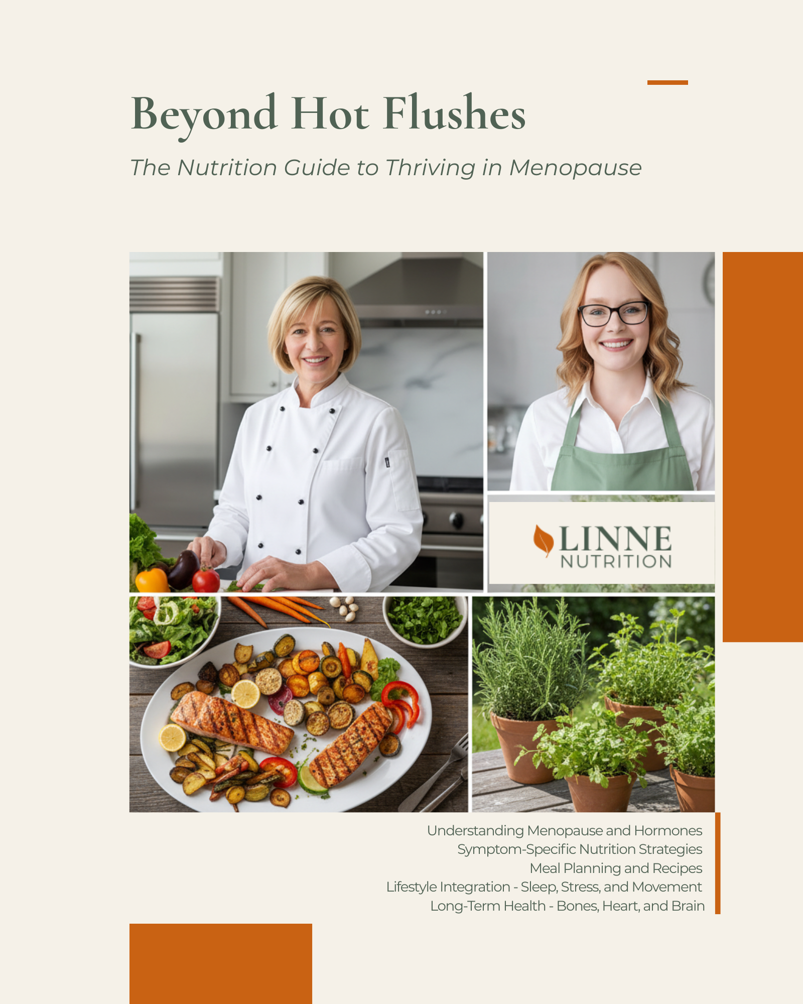 Menopause guidebook cover