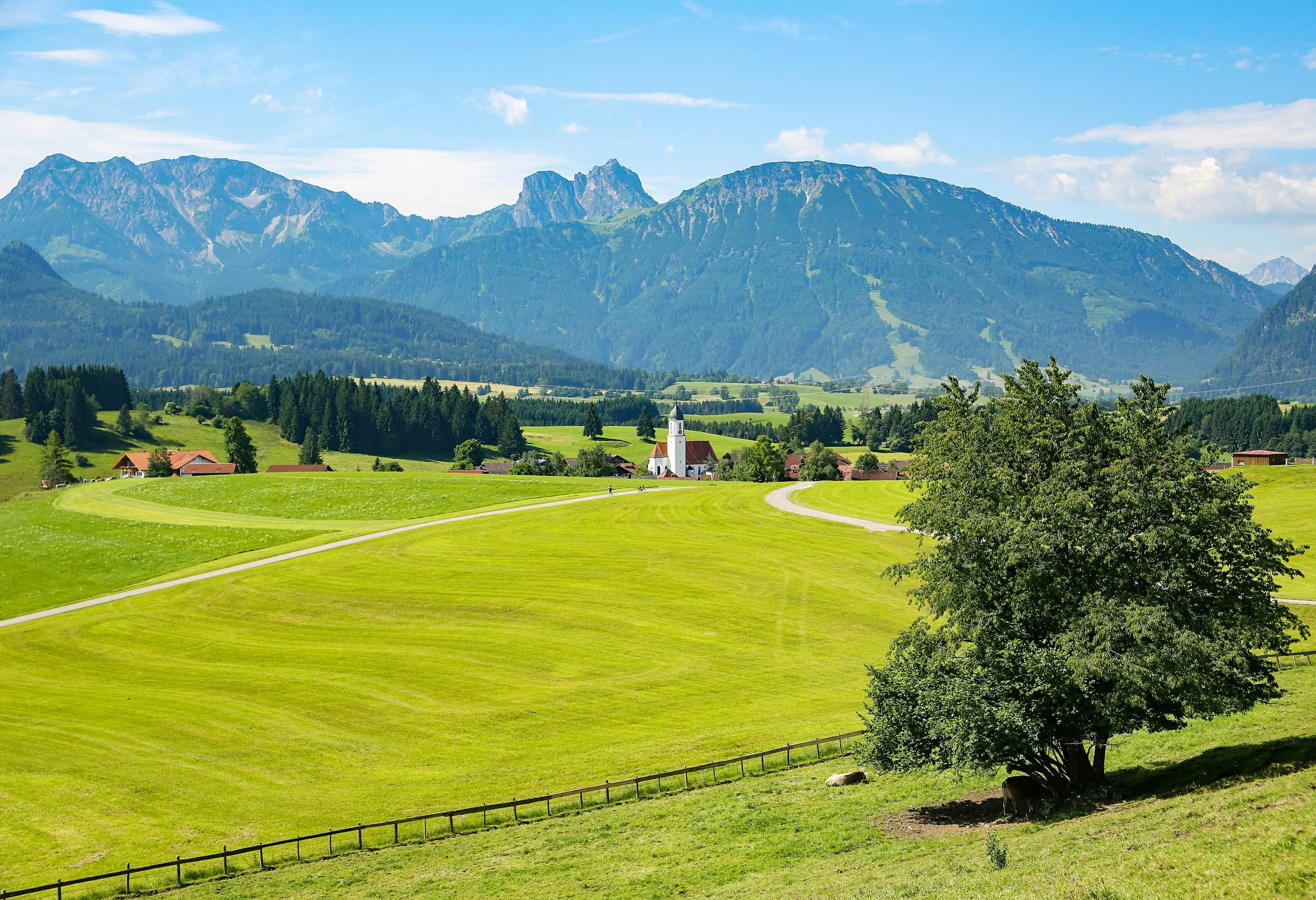A picturesque landscape with a lush green field, a winding path, a tree with animals underneath, a small church, scattered houses, dense forests, and majestic mountains in the background under a partly cloudy sky.