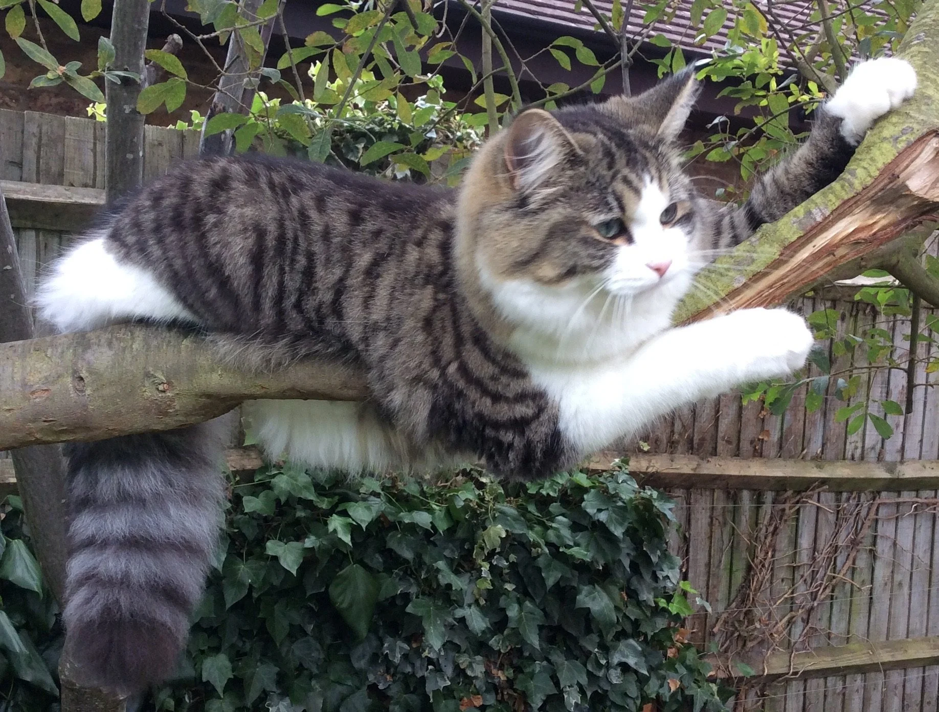 Get ahead of the game