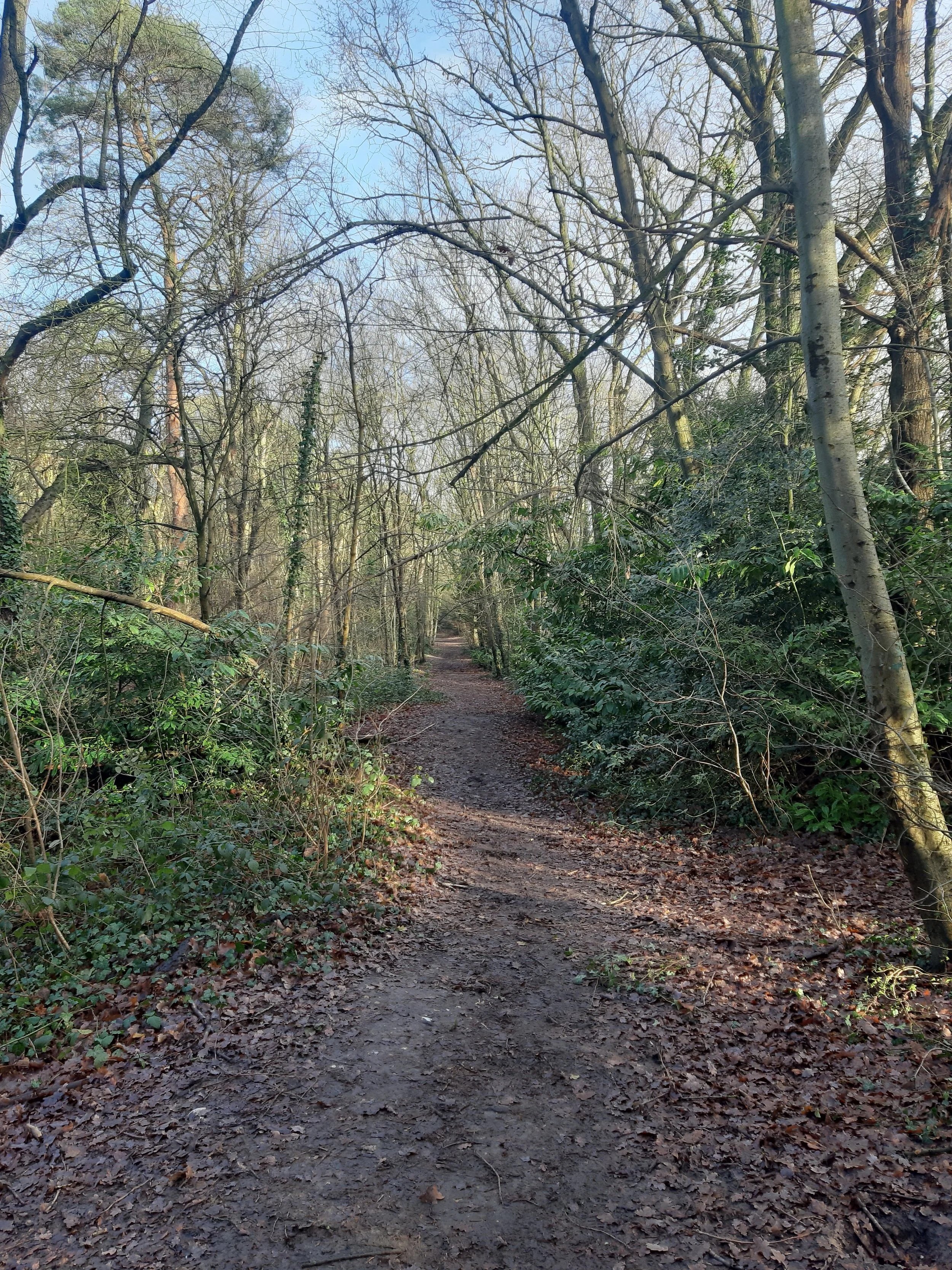 If you’re after…