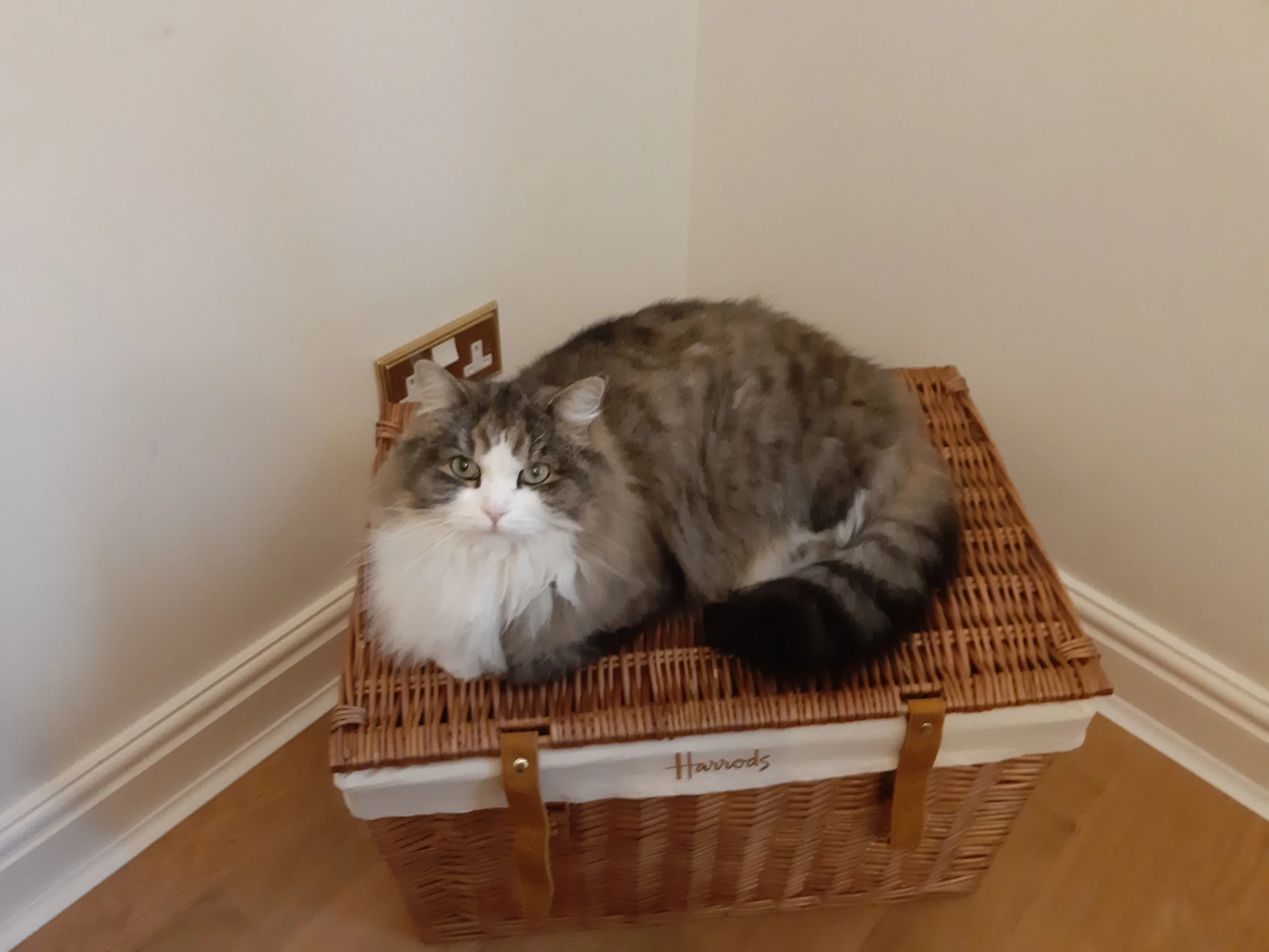 Don’t put all your eggs in one basket